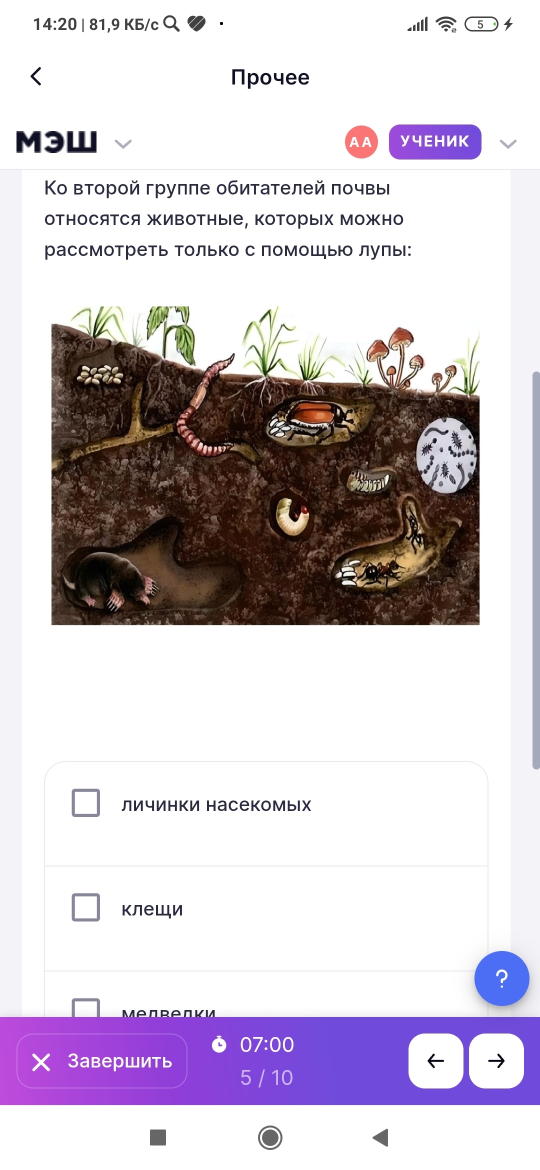 Фото задания: Какие животные относятся ко второй группе обитателей почвы?