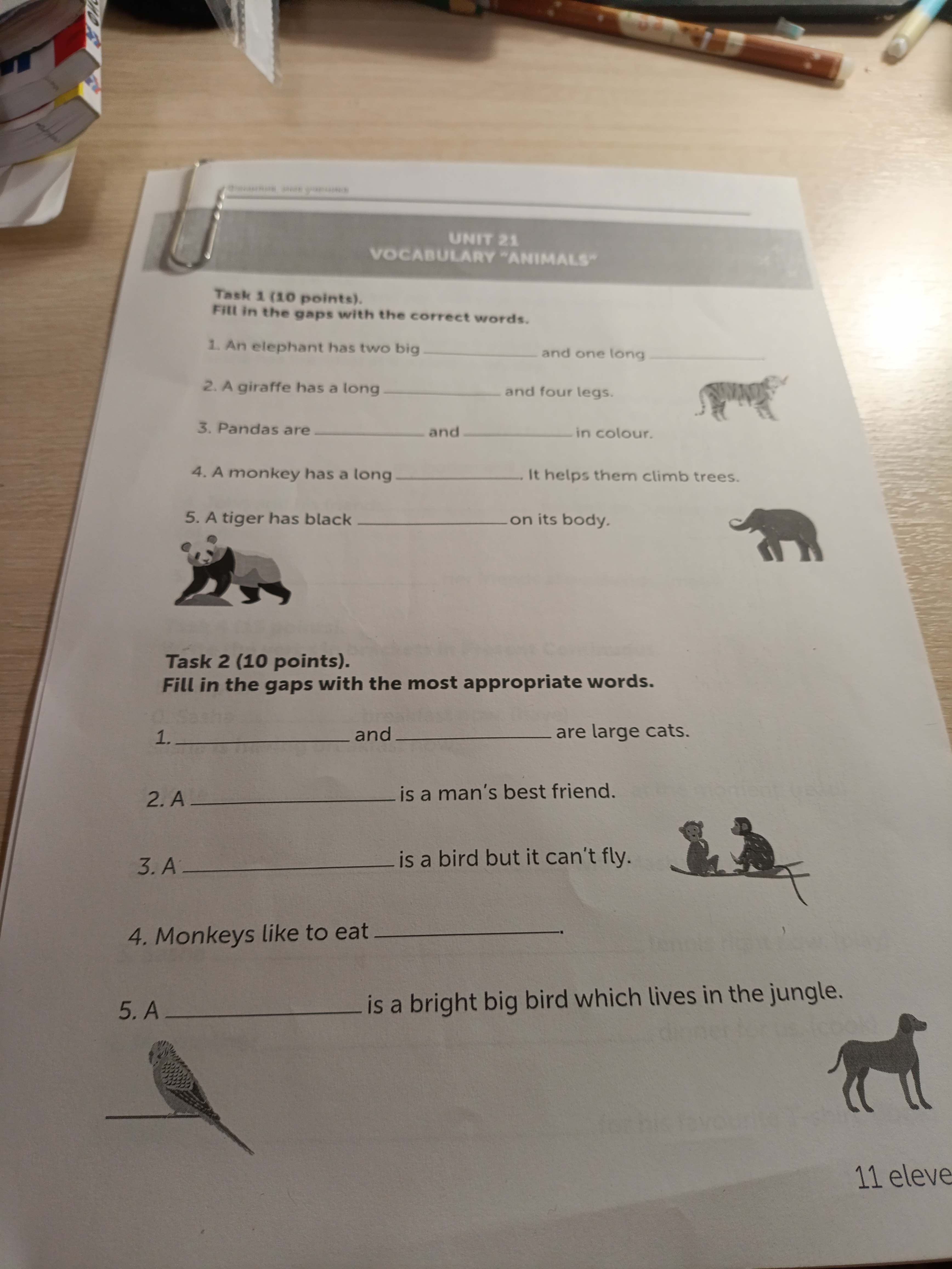 Фото задания: Task 2 (10 points). Fill in the gaps with the most appropriate words. 1. ______ and ______ are large cats. 2. A ______ is a…