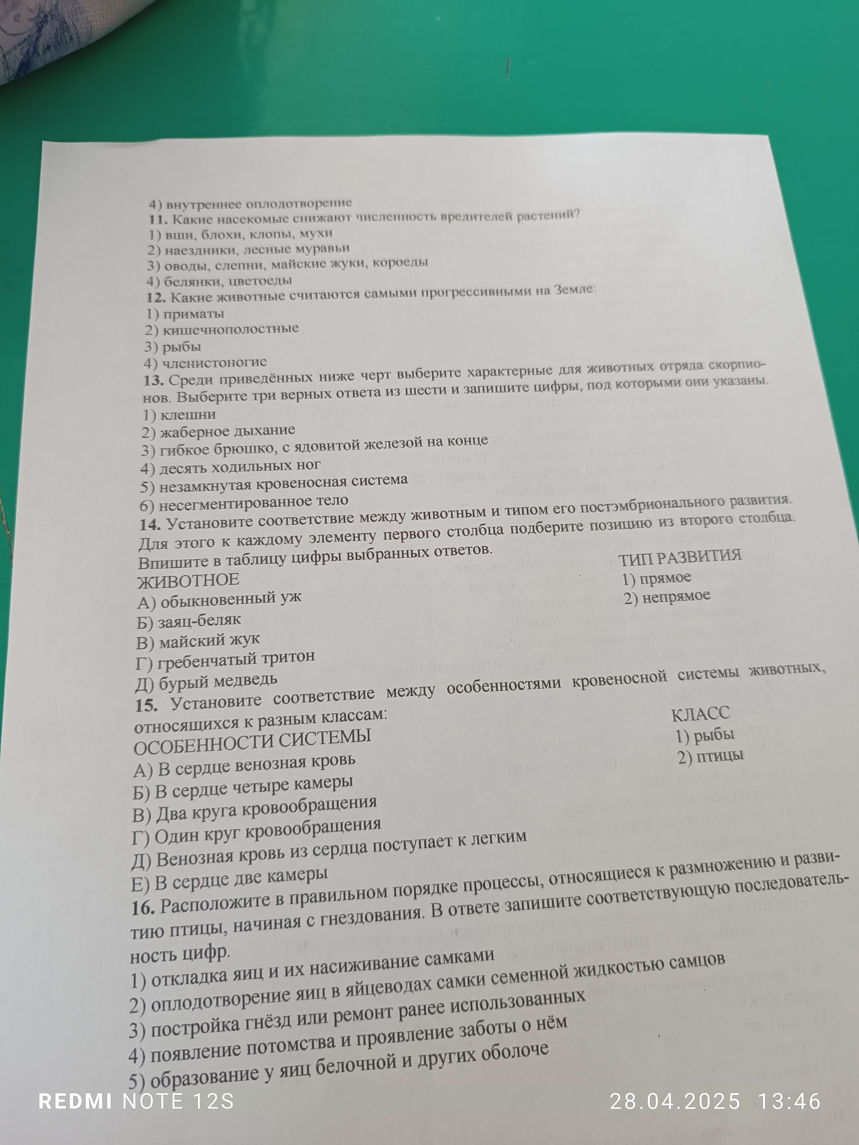 Фото задания