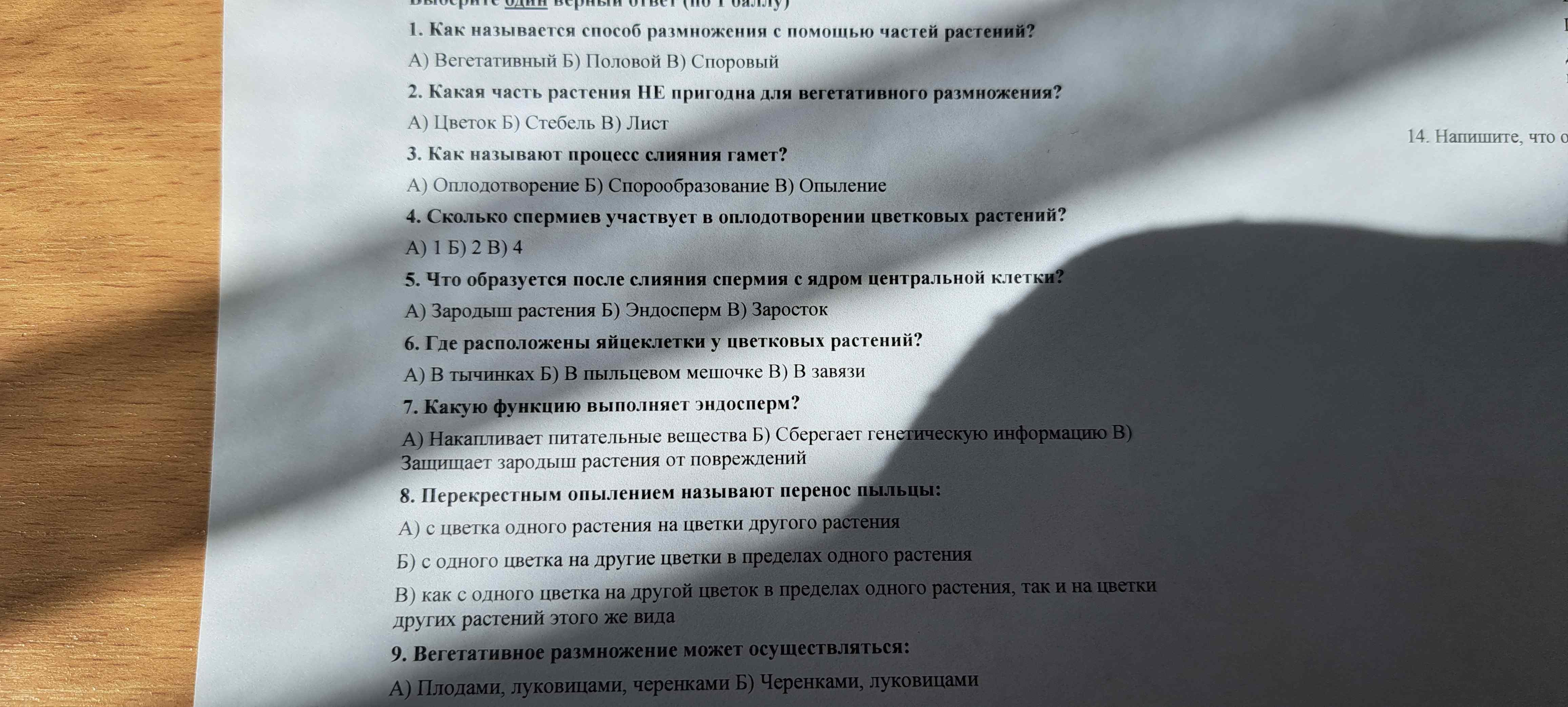 Фото задания