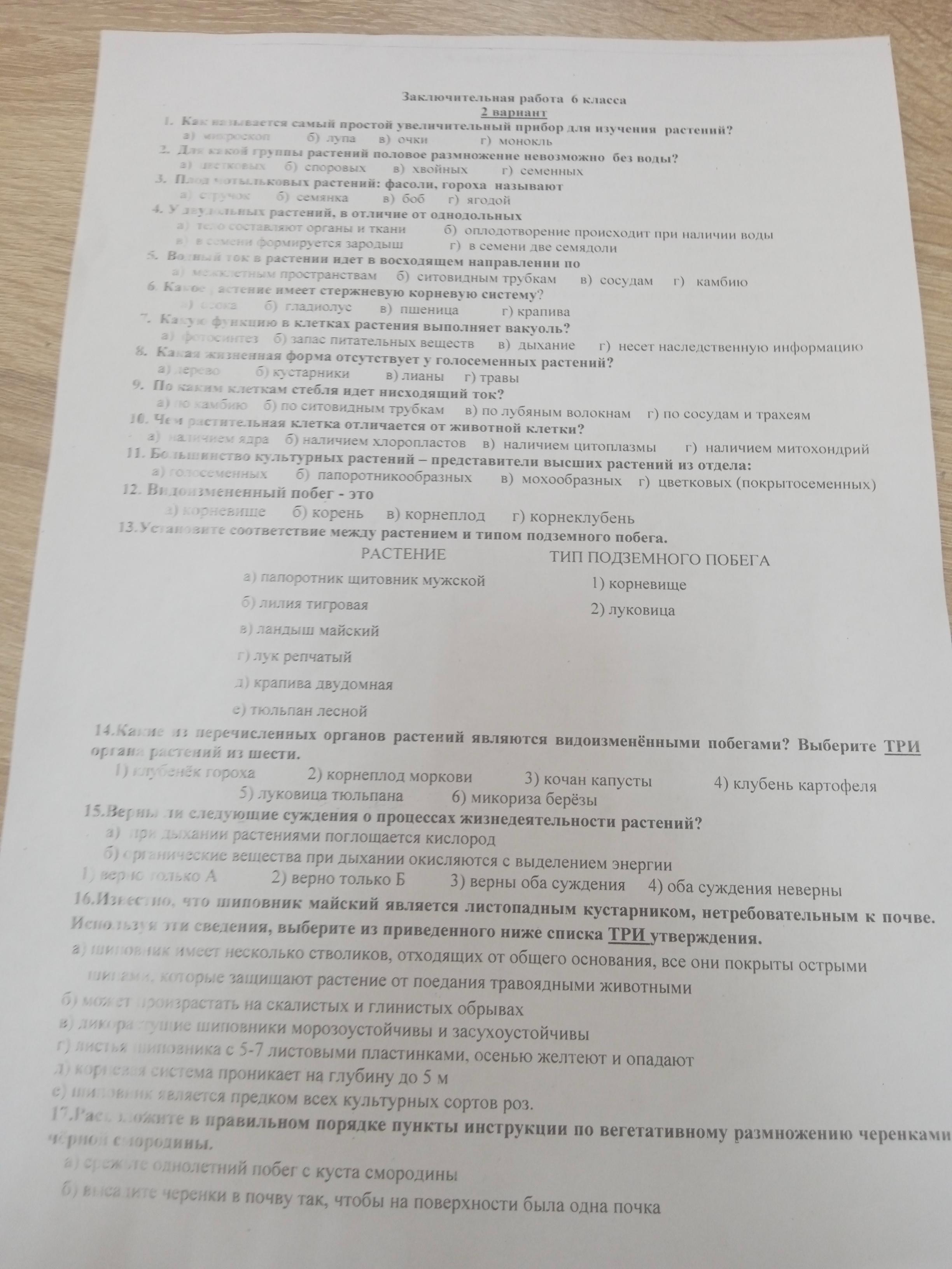 Фото задания