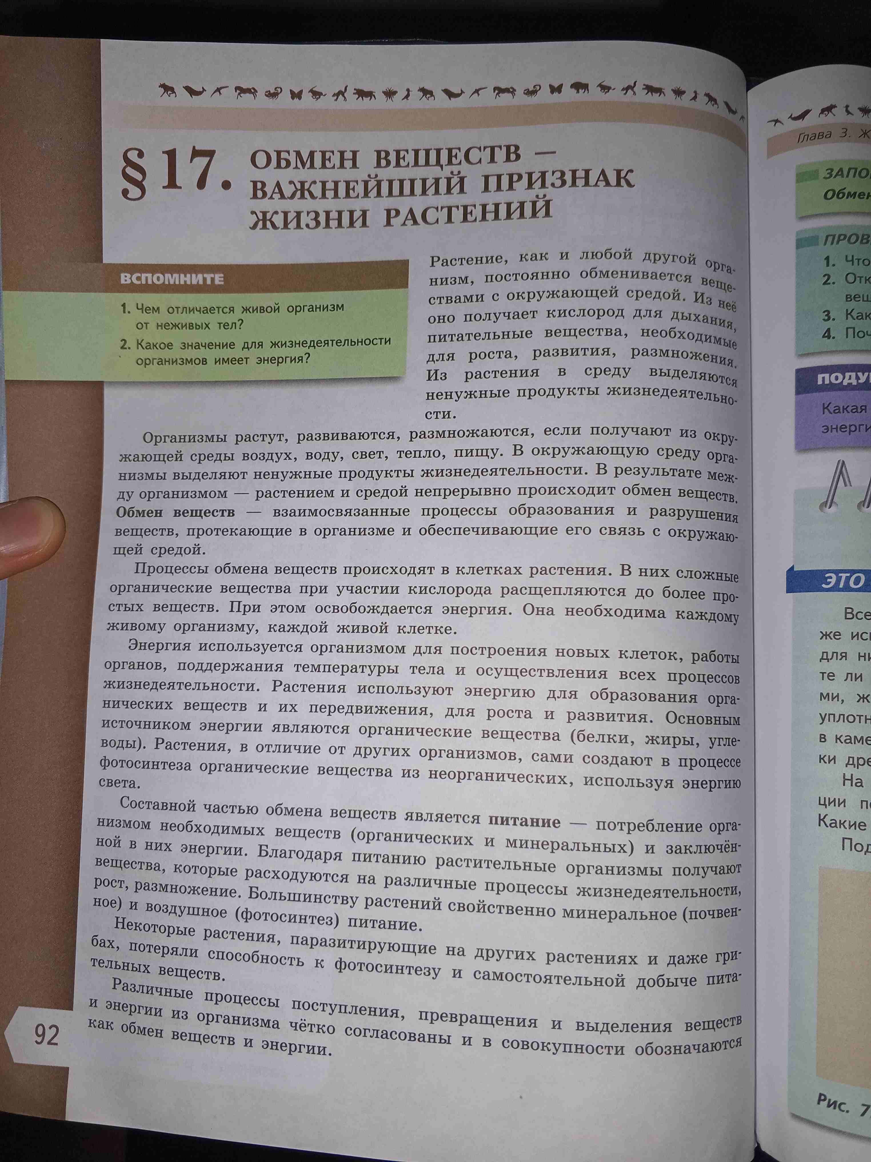 Фото задания: Чем отличается живой организм от неживых тел?
