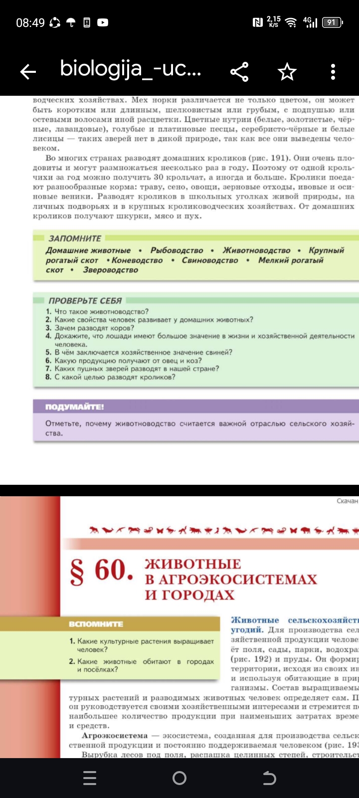 Фото задания: 2. Какие животные обитают в городах и посёлках?