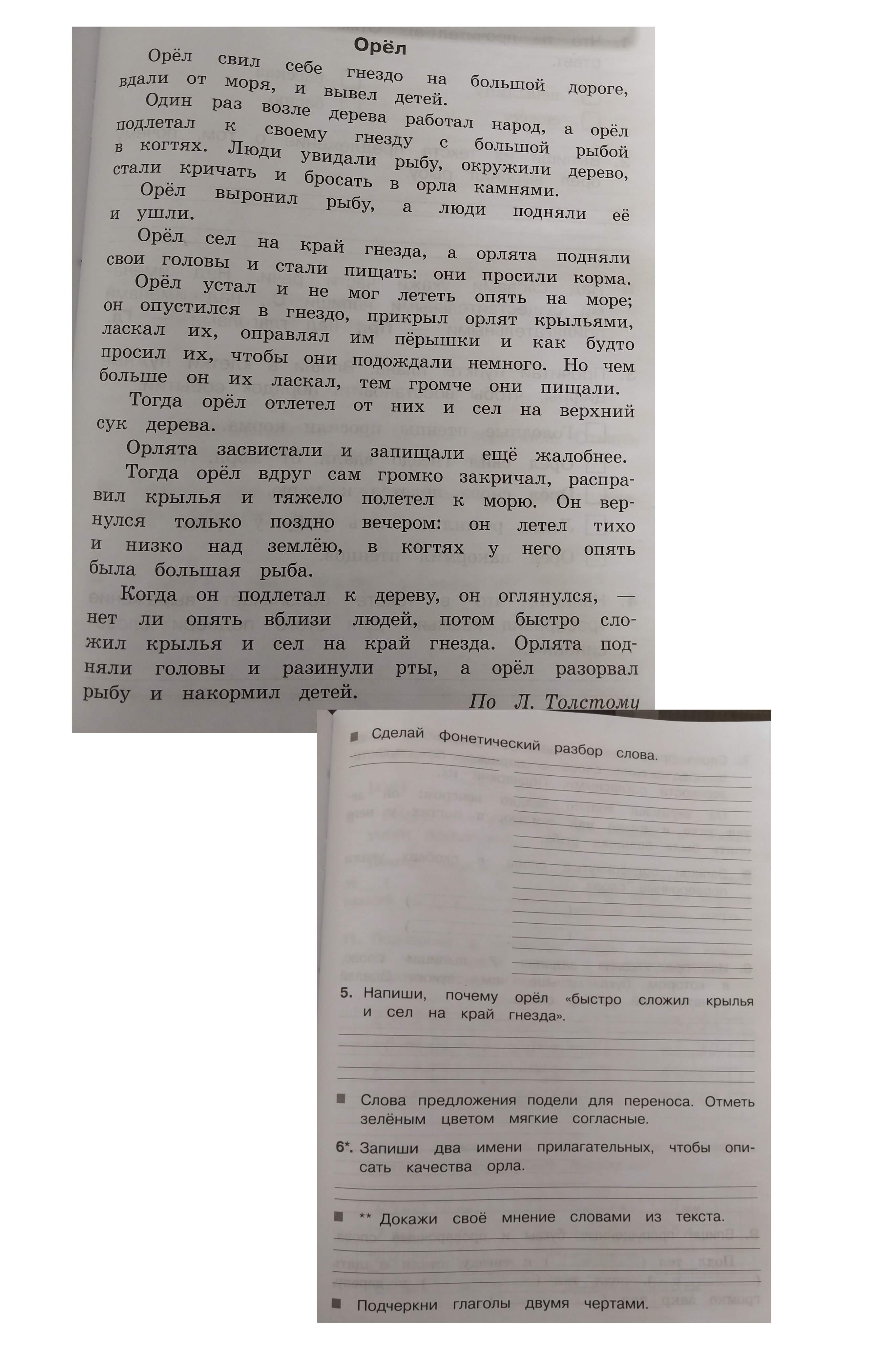 Фото задания: Напиши, почему орёл «быстро сложил крылья и сел на край гнезда».