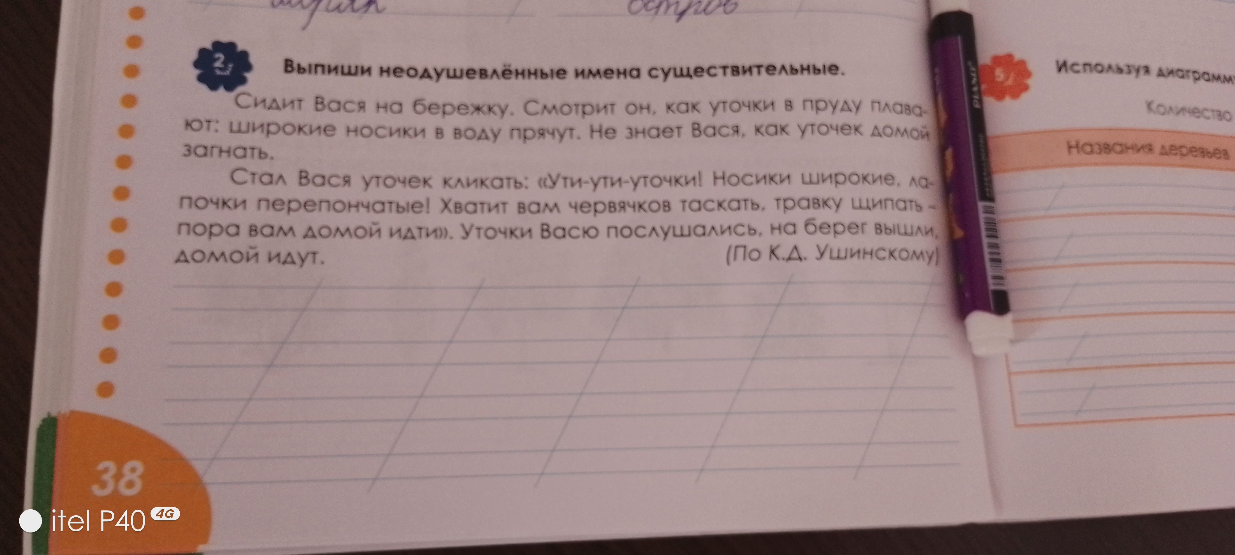 Фото задания: Выпиши неодушевлённые имена существительные. (из текста: Сидит Вася на бережку. Смотрит он, как уточки в пруду плавают:…