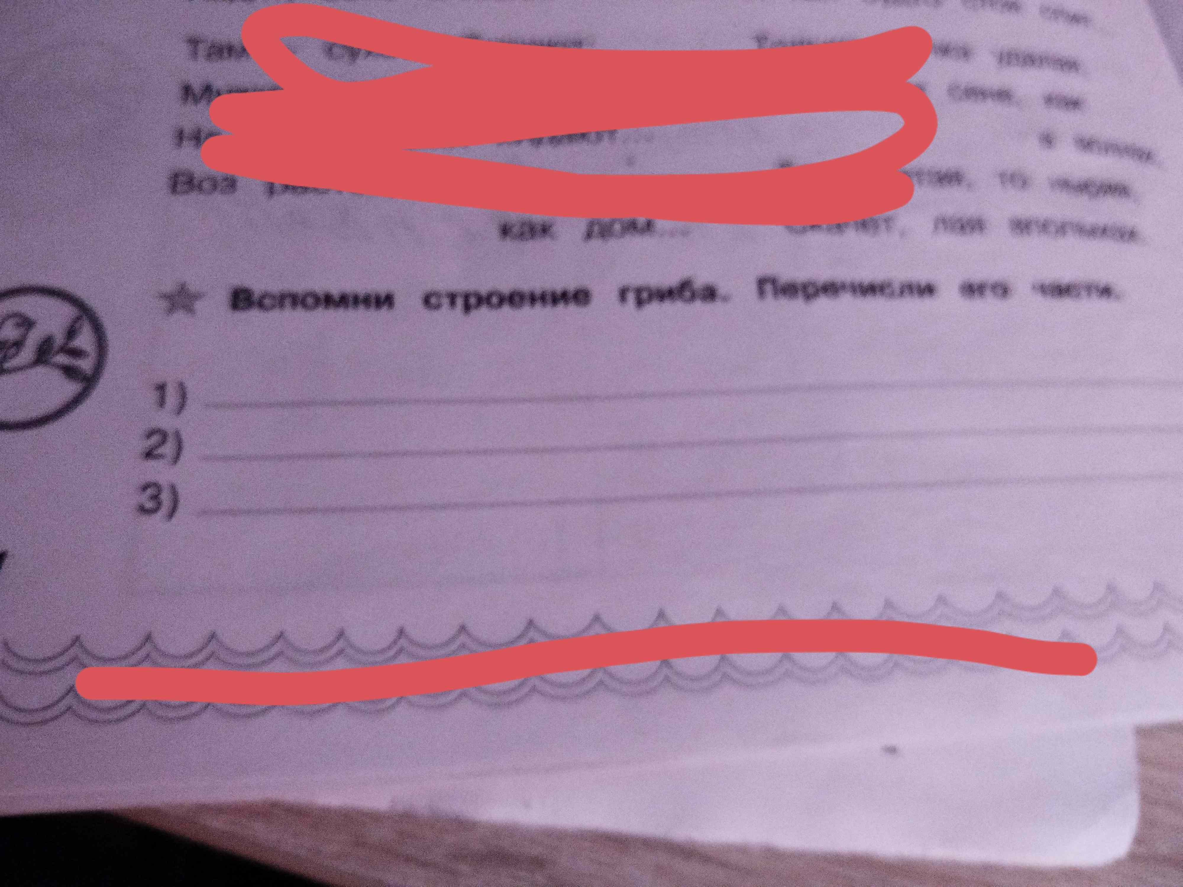 Фото задания: Вспомни строение гриба. Перечисли его части.