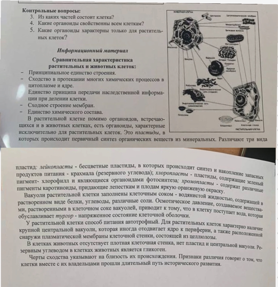 Фото задания: Из каких частей состоит клетка?