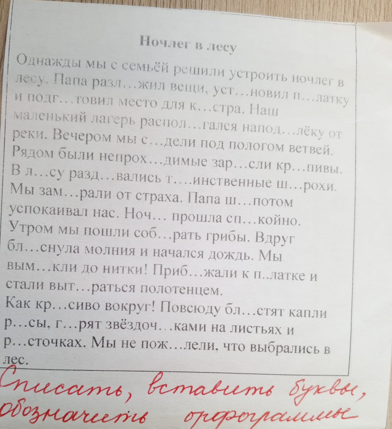 Фото задания: Списать текст, вставить пропущенные буквы, обозначить орфограммы.