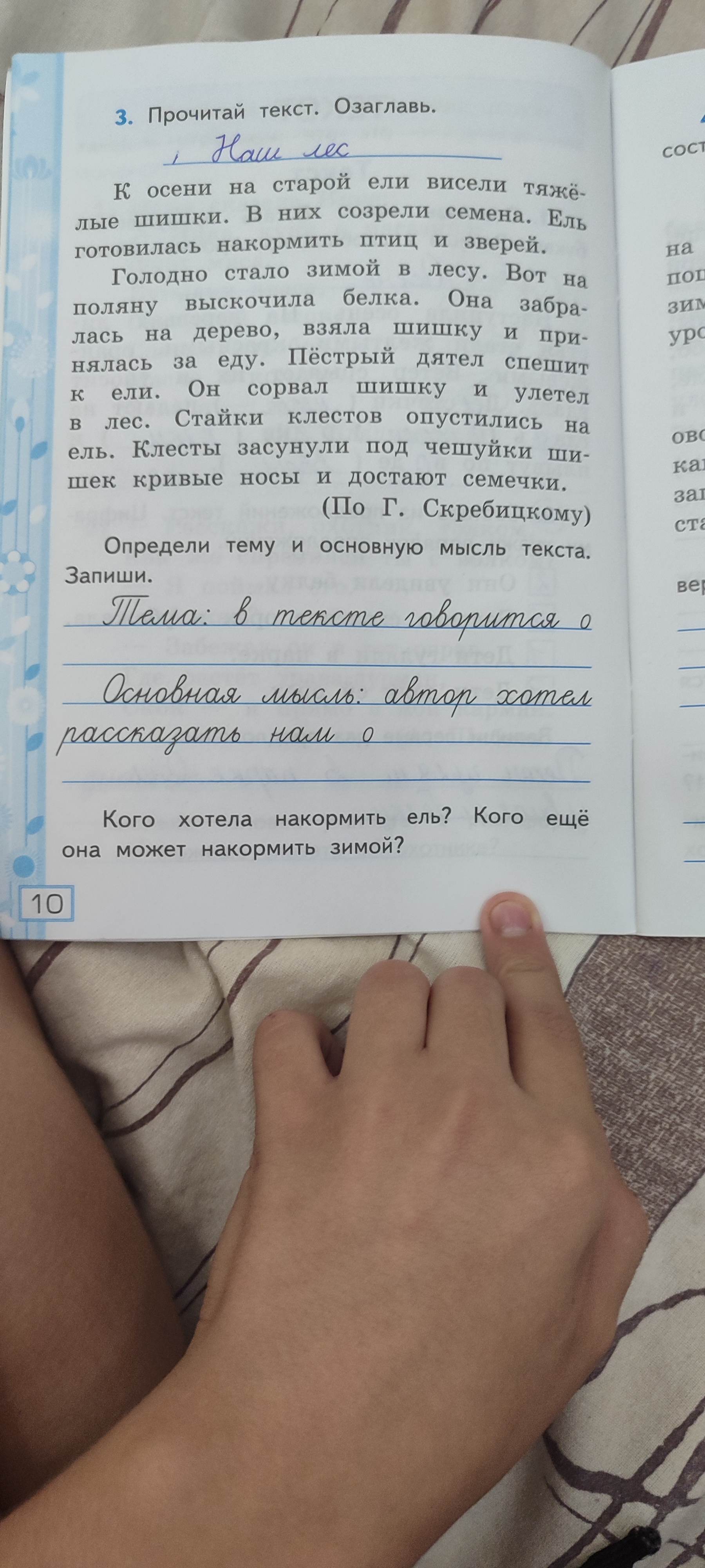Фото задания: Кого хотела накормить ель? Кого ещё она может накормить зимой?