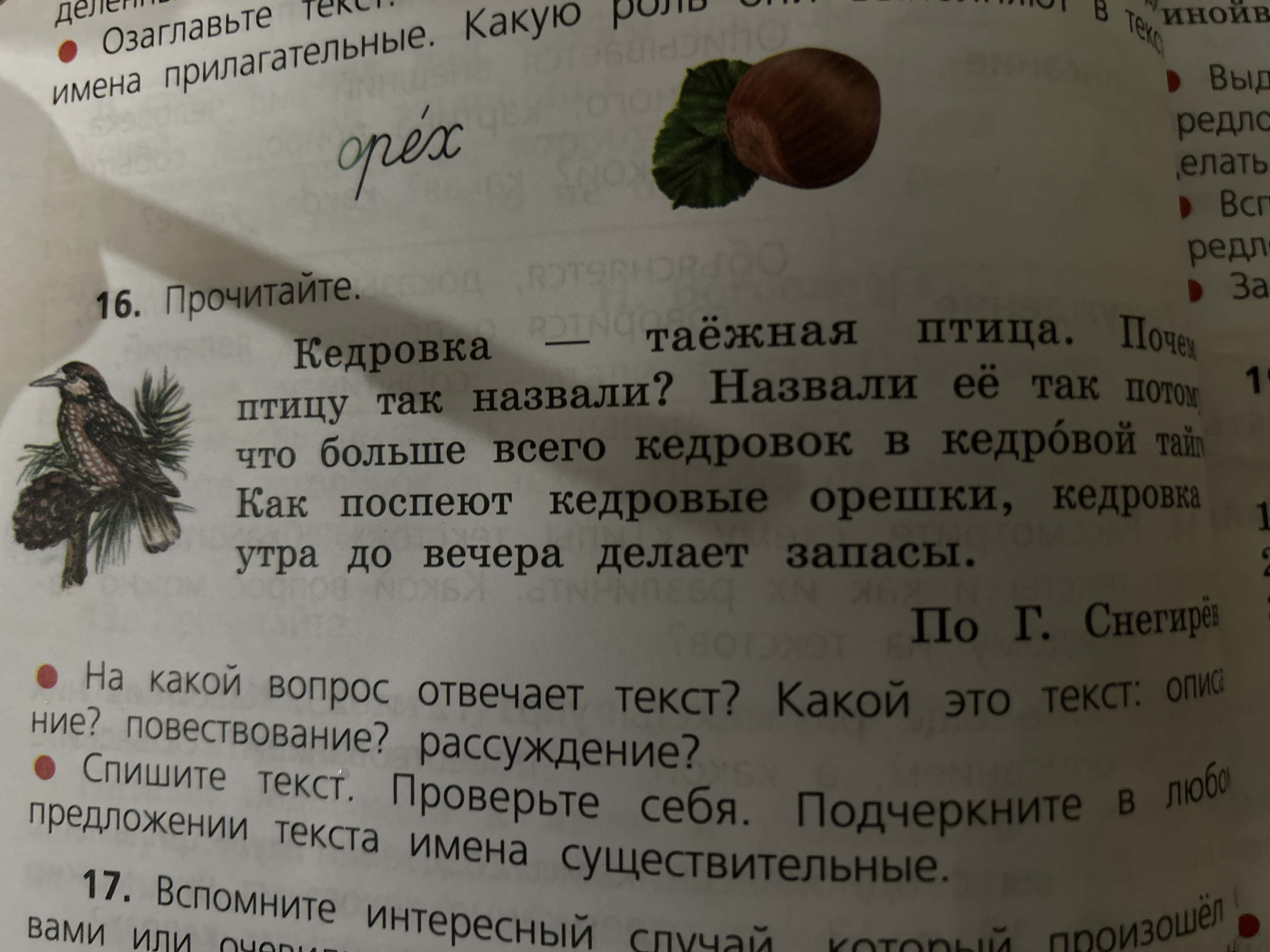 Фото задания: Прочитайте текст. На какой вопрос отвечает текст? Какой это текст: описание? повествование? рассуждение? Спишите текст.…