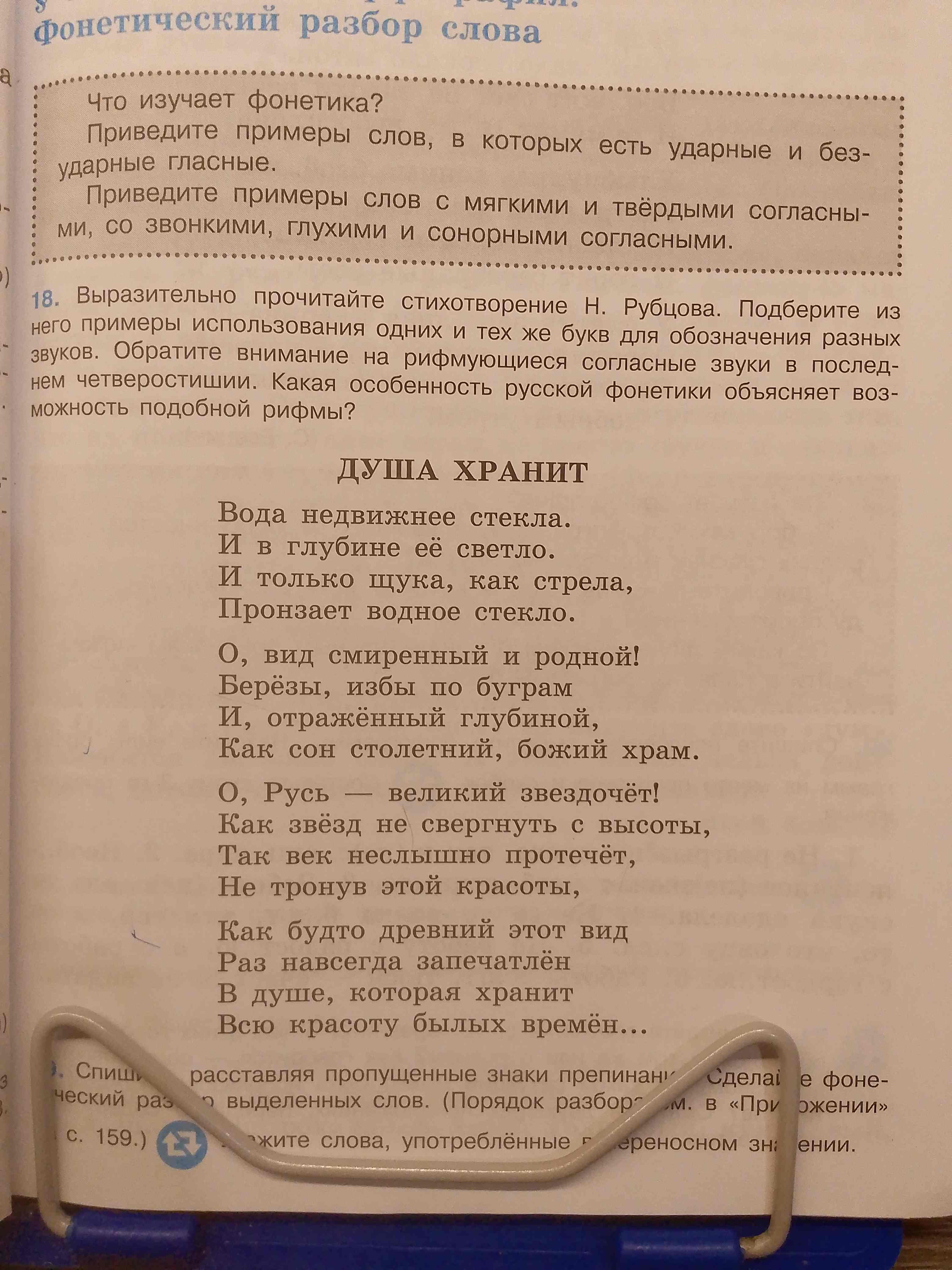 Фото задания: Приведите примеры слов с мягкими и твёрдыми согласными, со звонкими, глухими и сонорными согласными.