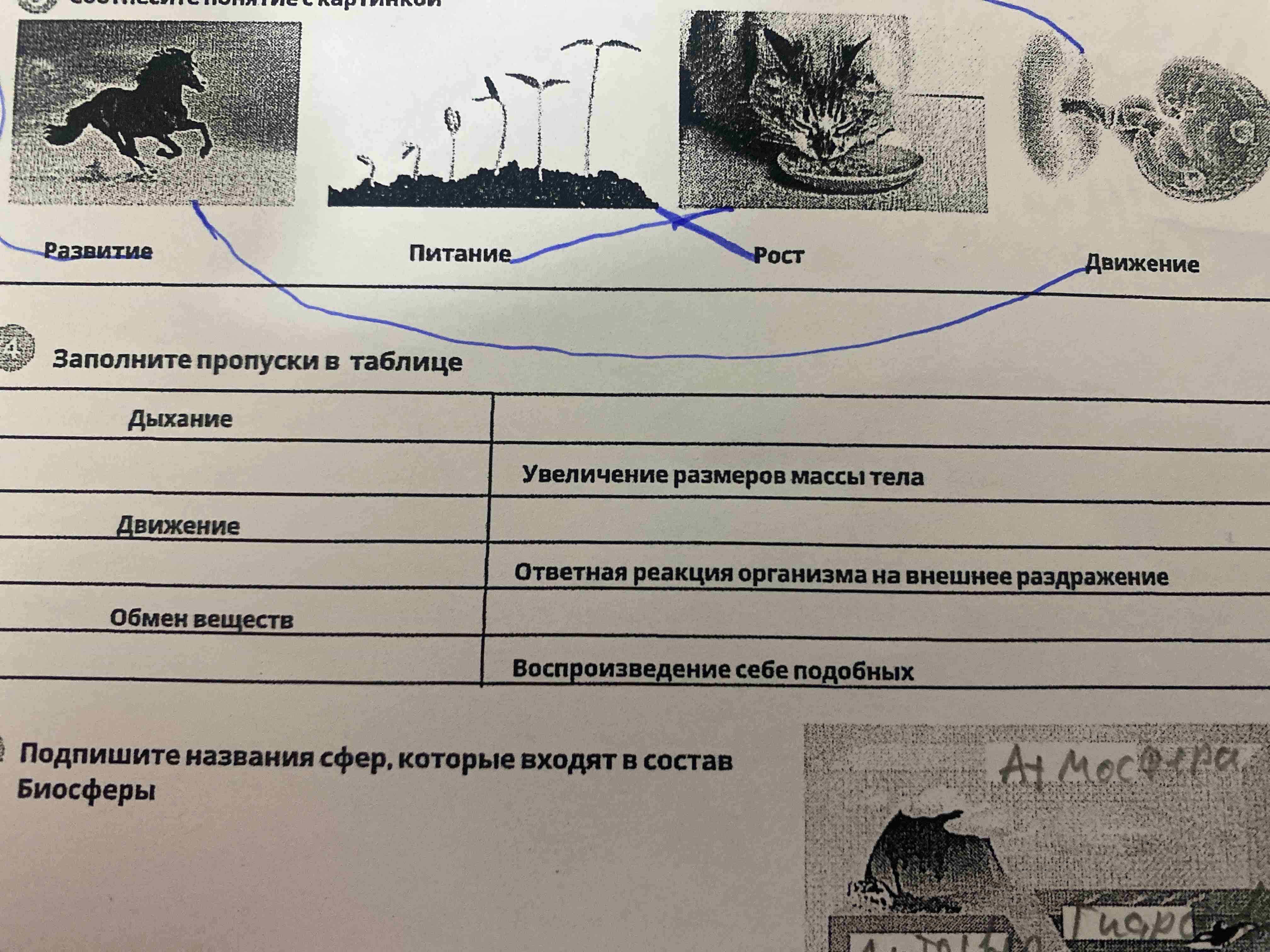 Фото задания: Подпишите названия сфер, которые входят в состав Биосферы
