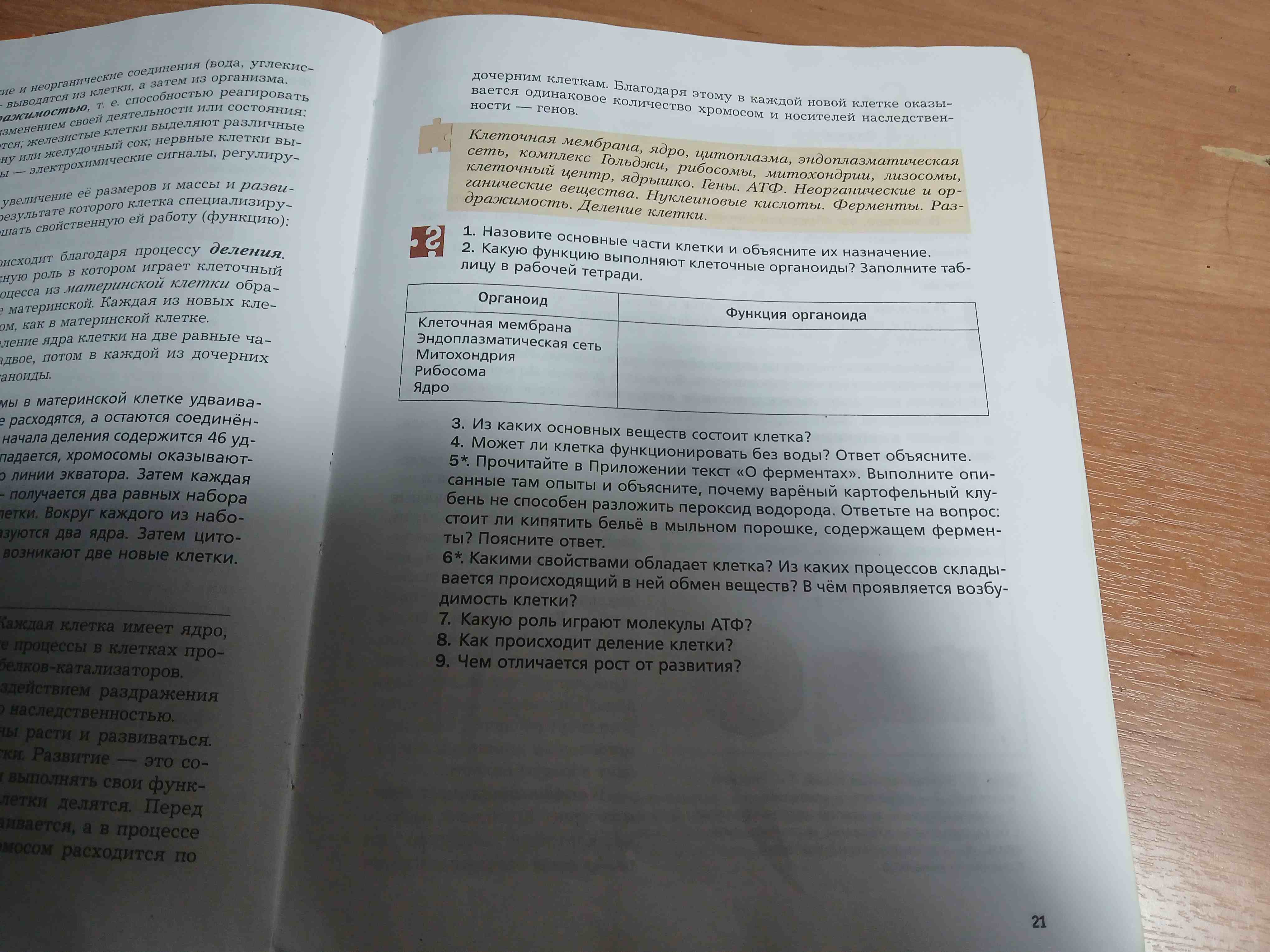 Фото задания: 9. Чем отличается рост от развития?