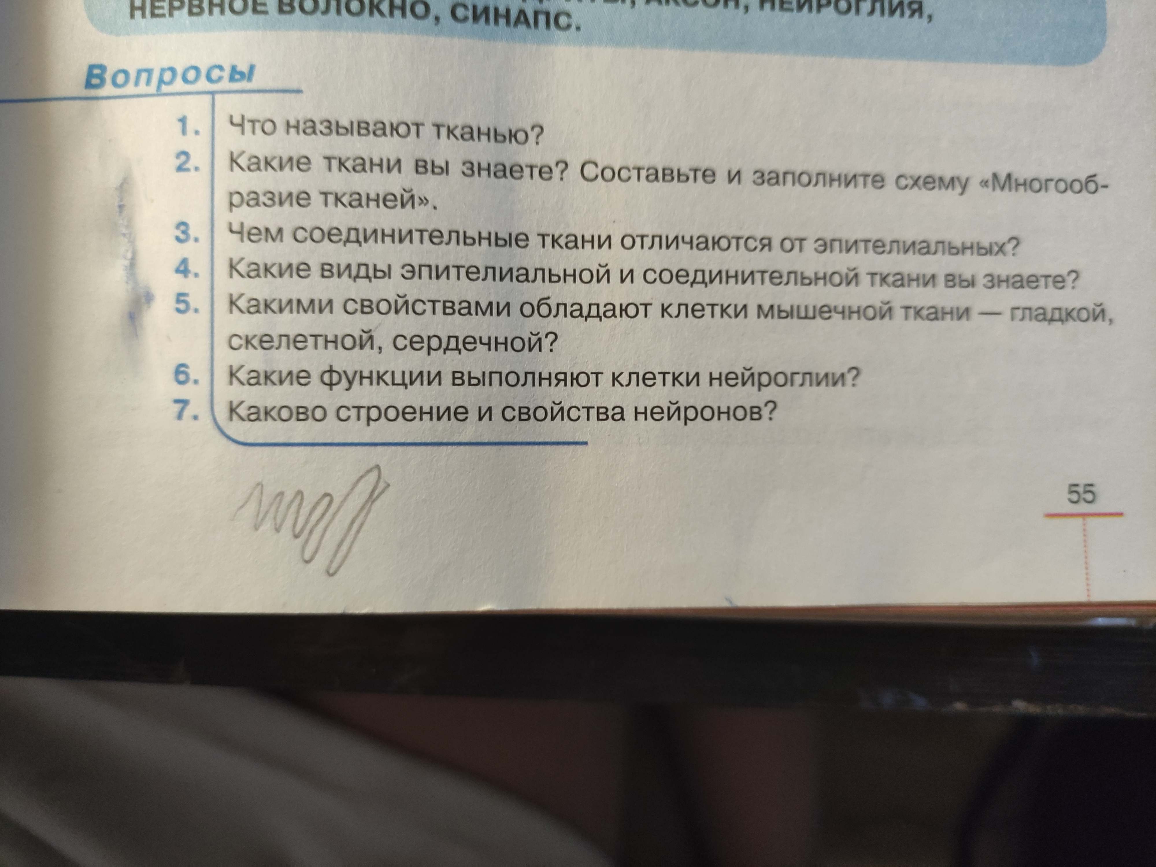 Фото задания: Какие ткани вы знаете? Составьте и заполните схему «Многообразие тканей».