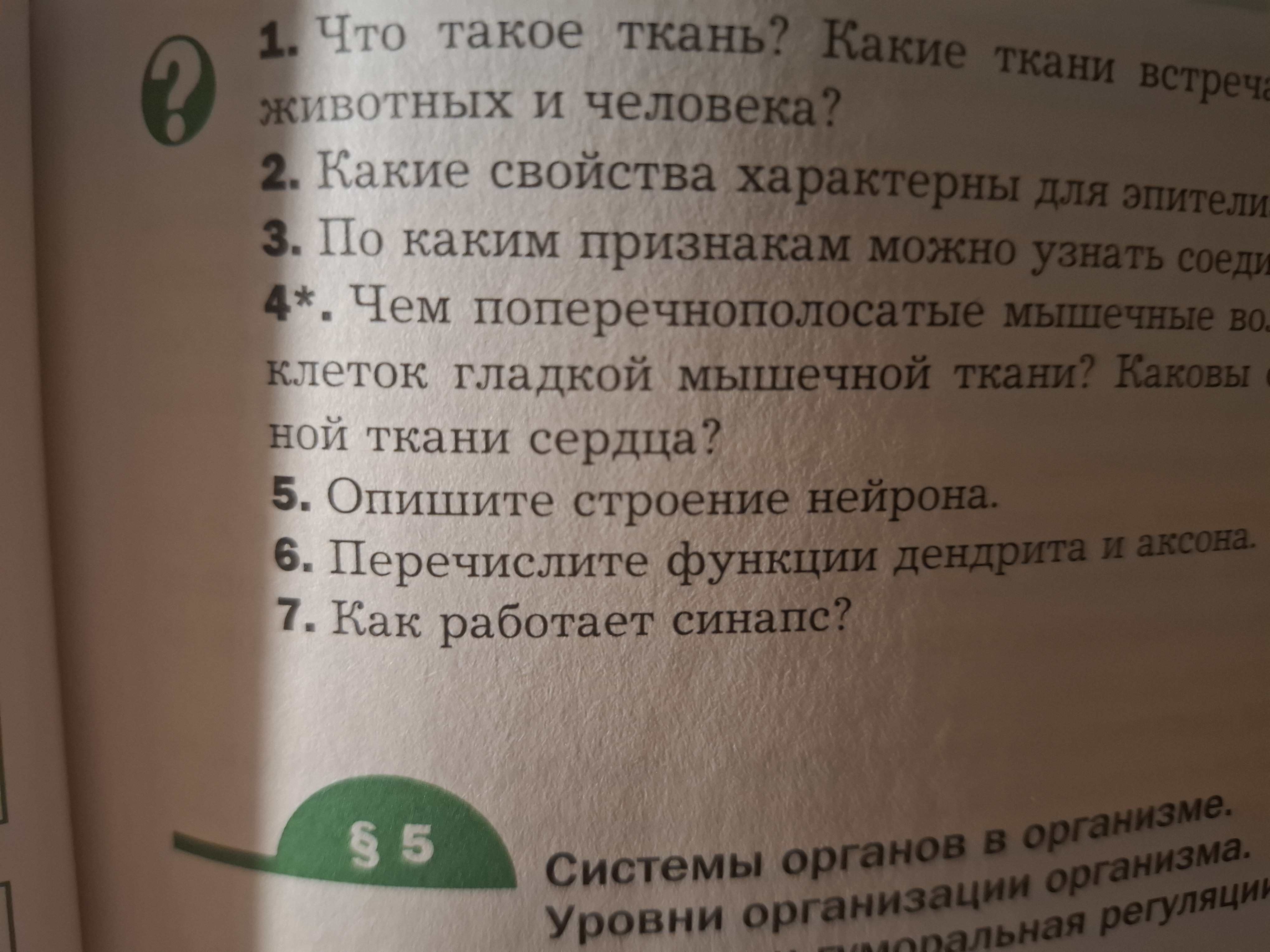 Фото задания: Как работает синапс?
