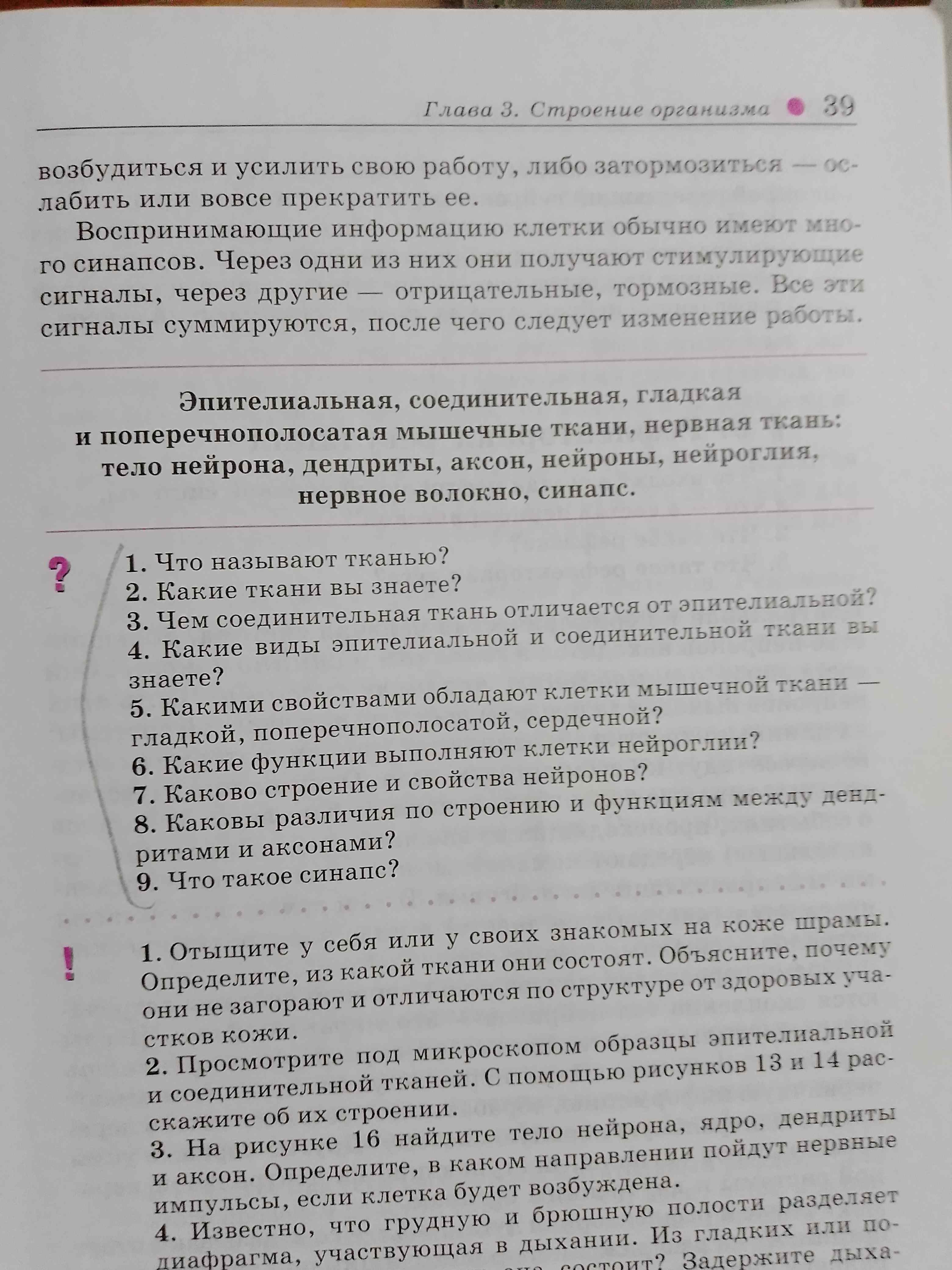 Фото задания: Каково строение и свойства нейронов?