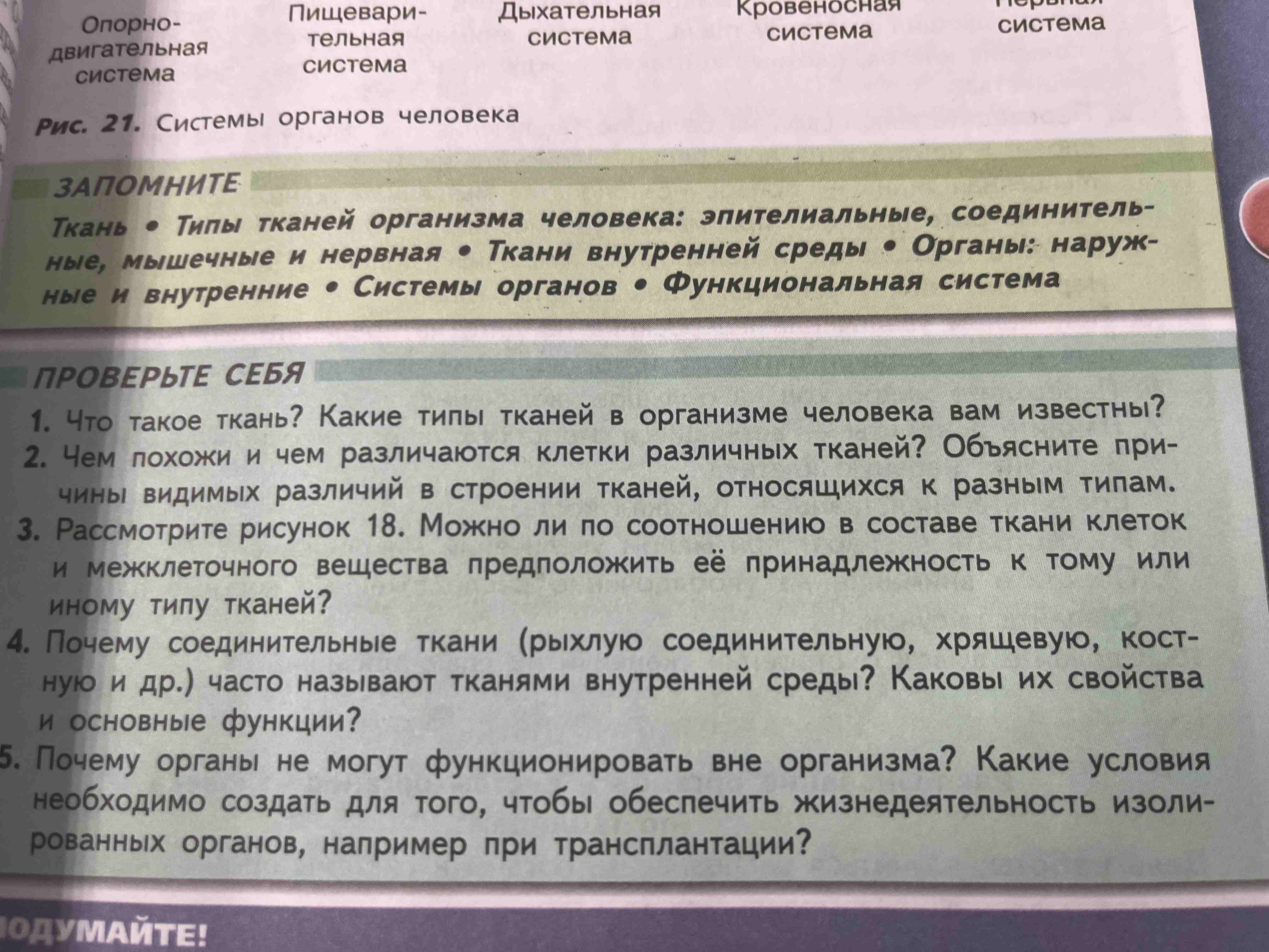 Фото задания: 4. Почему соединительные ткани (рыхлую соединительную, хрящевую, костную и др.) часто называют тканями внутренней среды?…