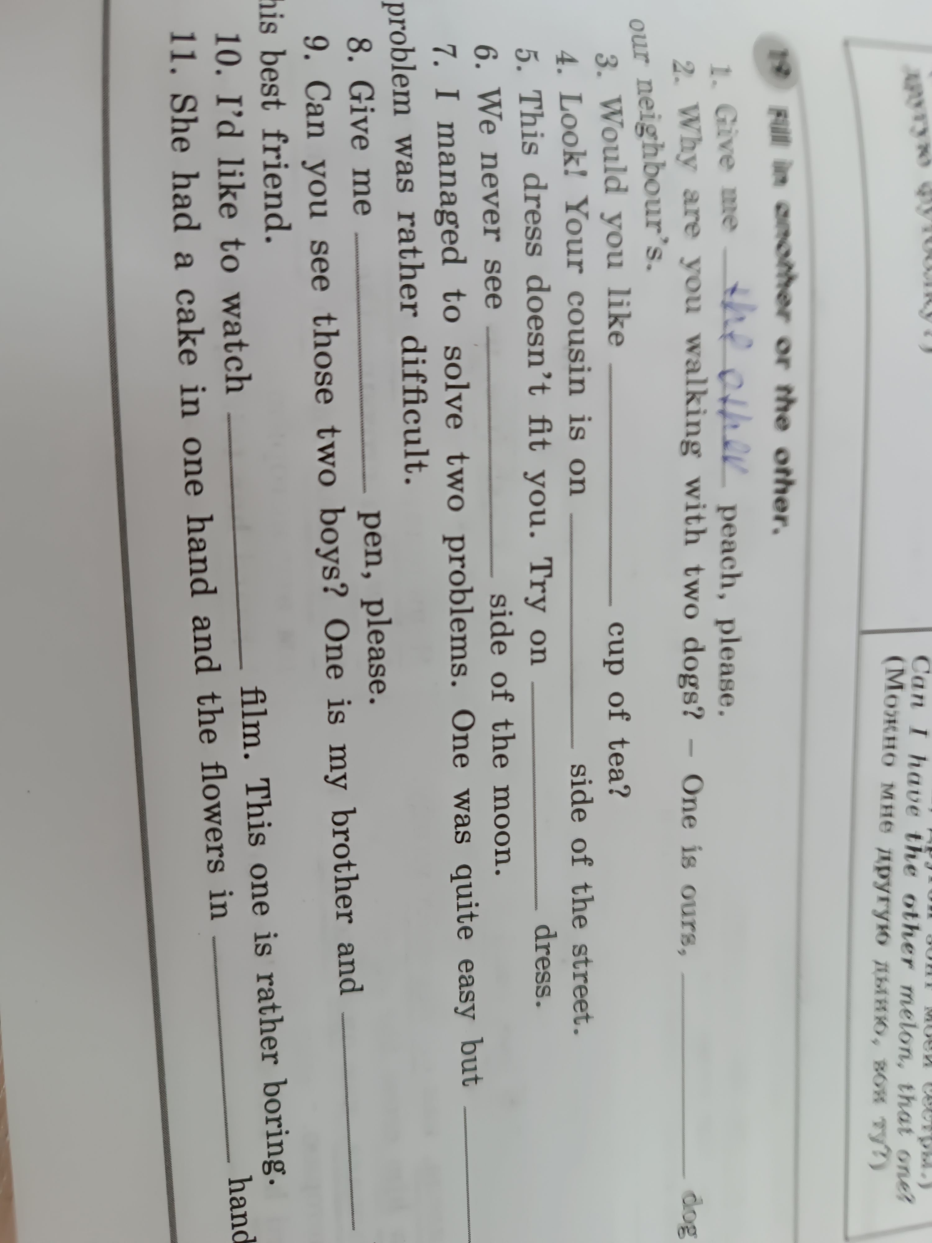 Фото задания: Fill in another or the other.