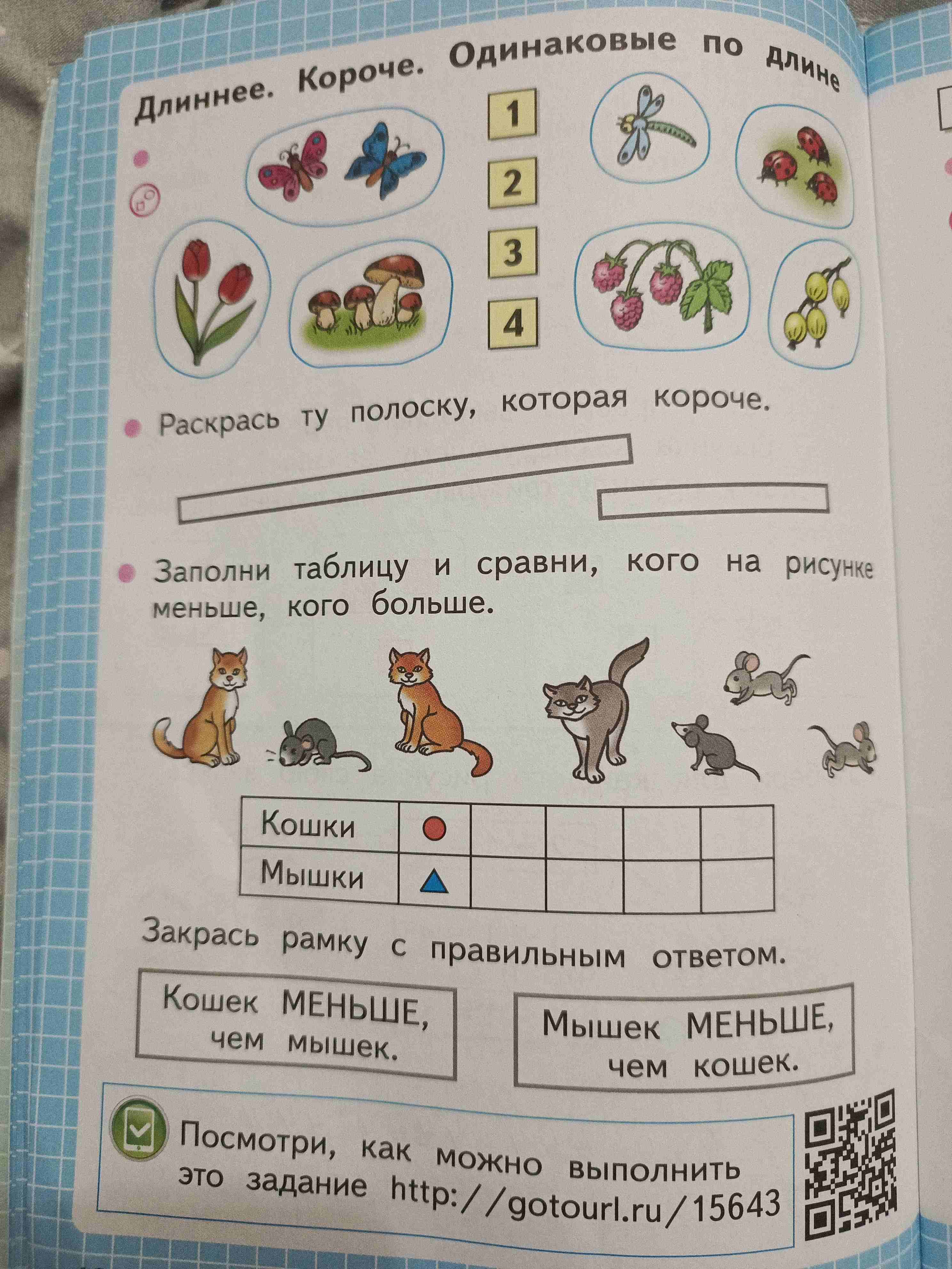 Фото задания: Раскрась ту полоску, которая короче.