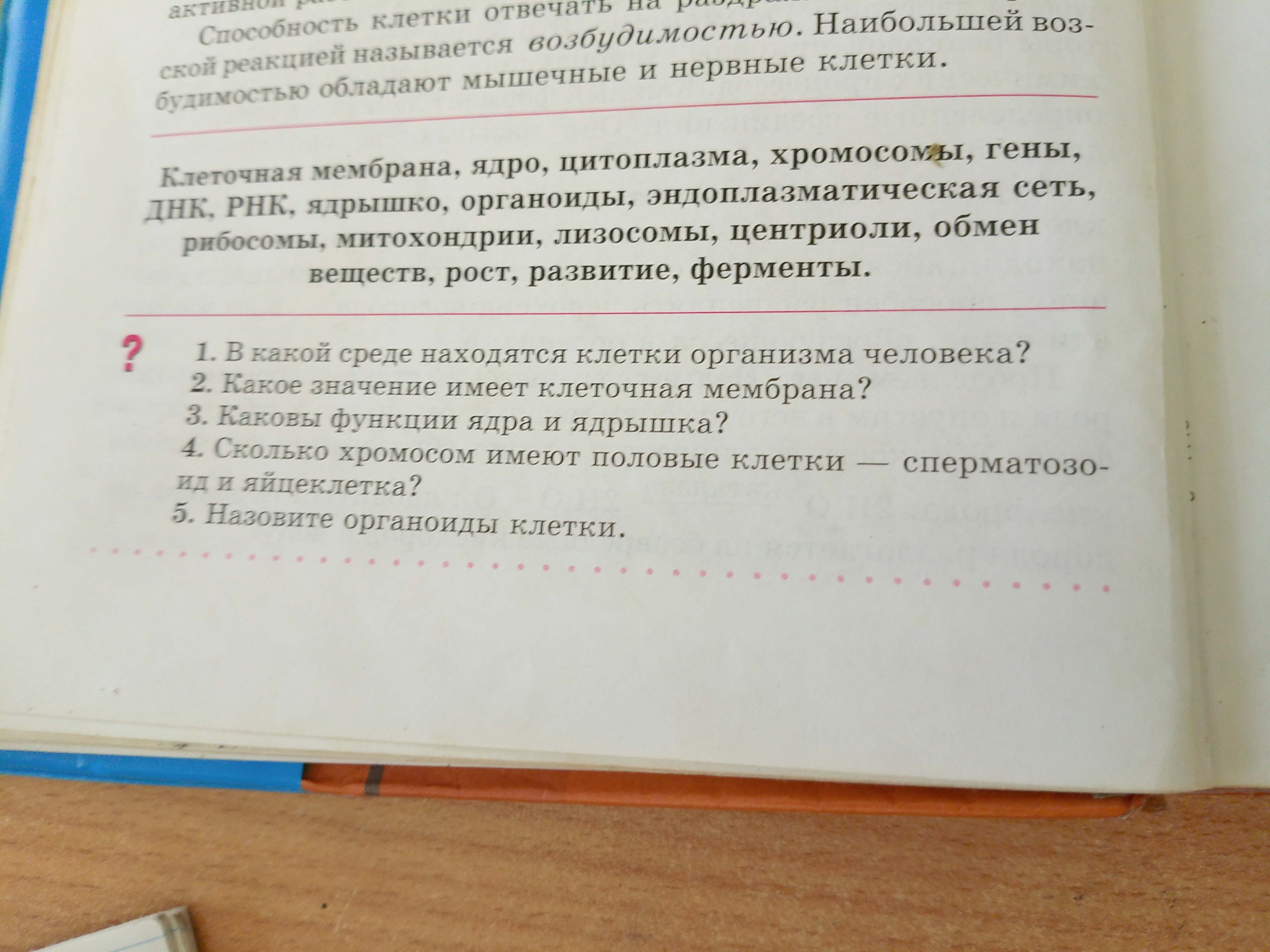 Фото задания: Каковы функции ядра и ядрышка?