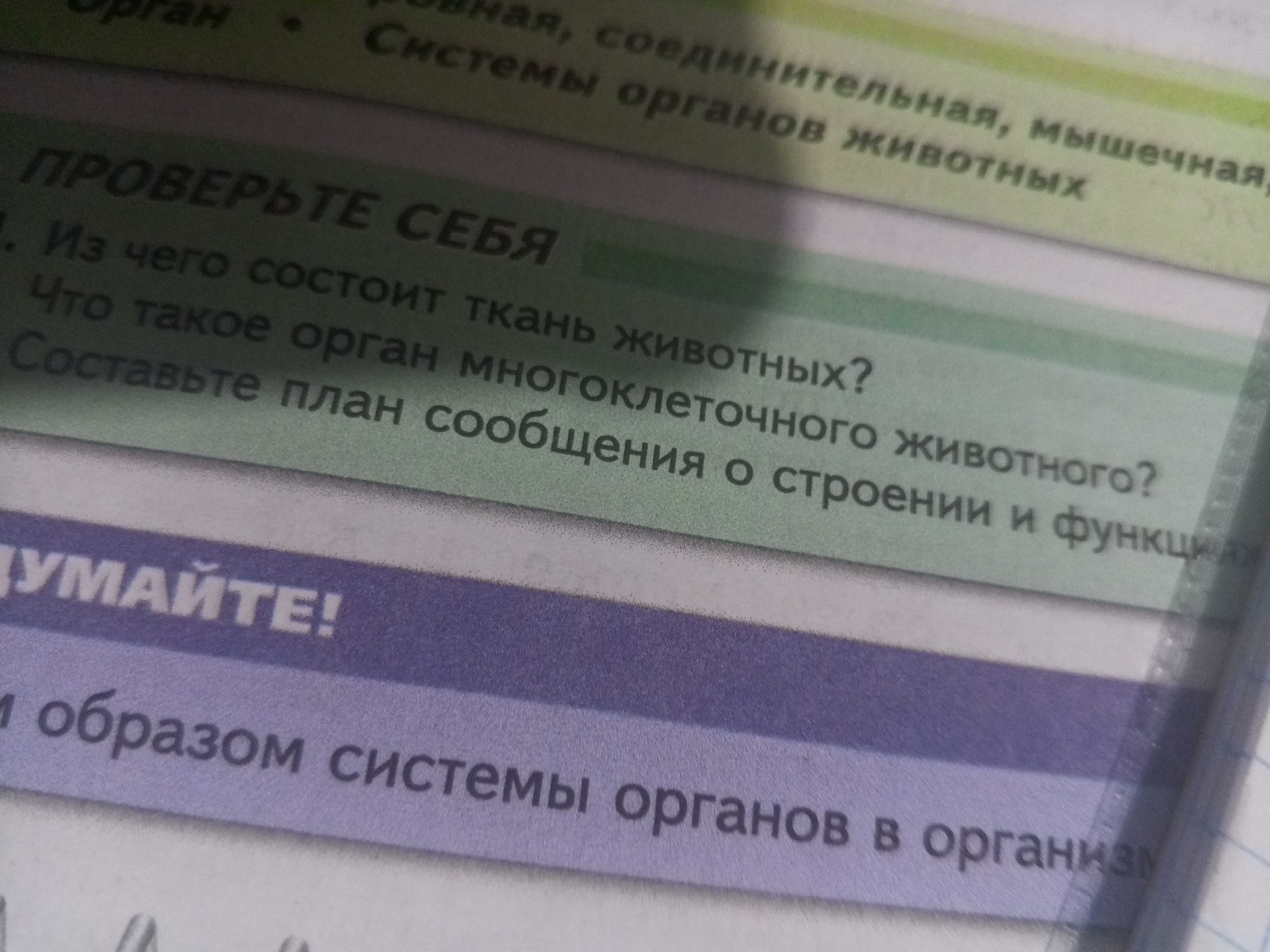 Фото задания: Из чего состоит ткань животных?