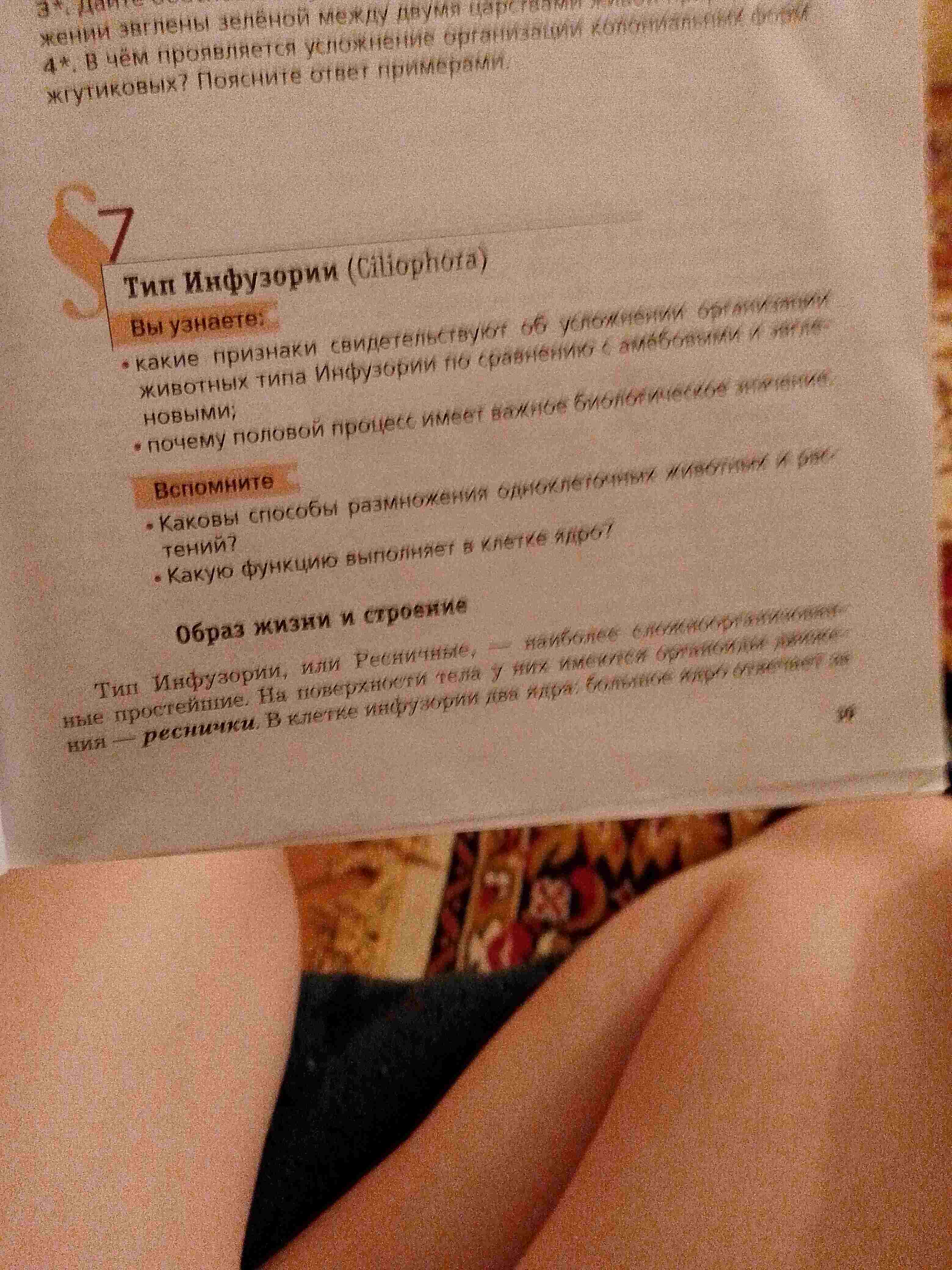 Фото задания: Какую функцию выполняет в клетке ядро?