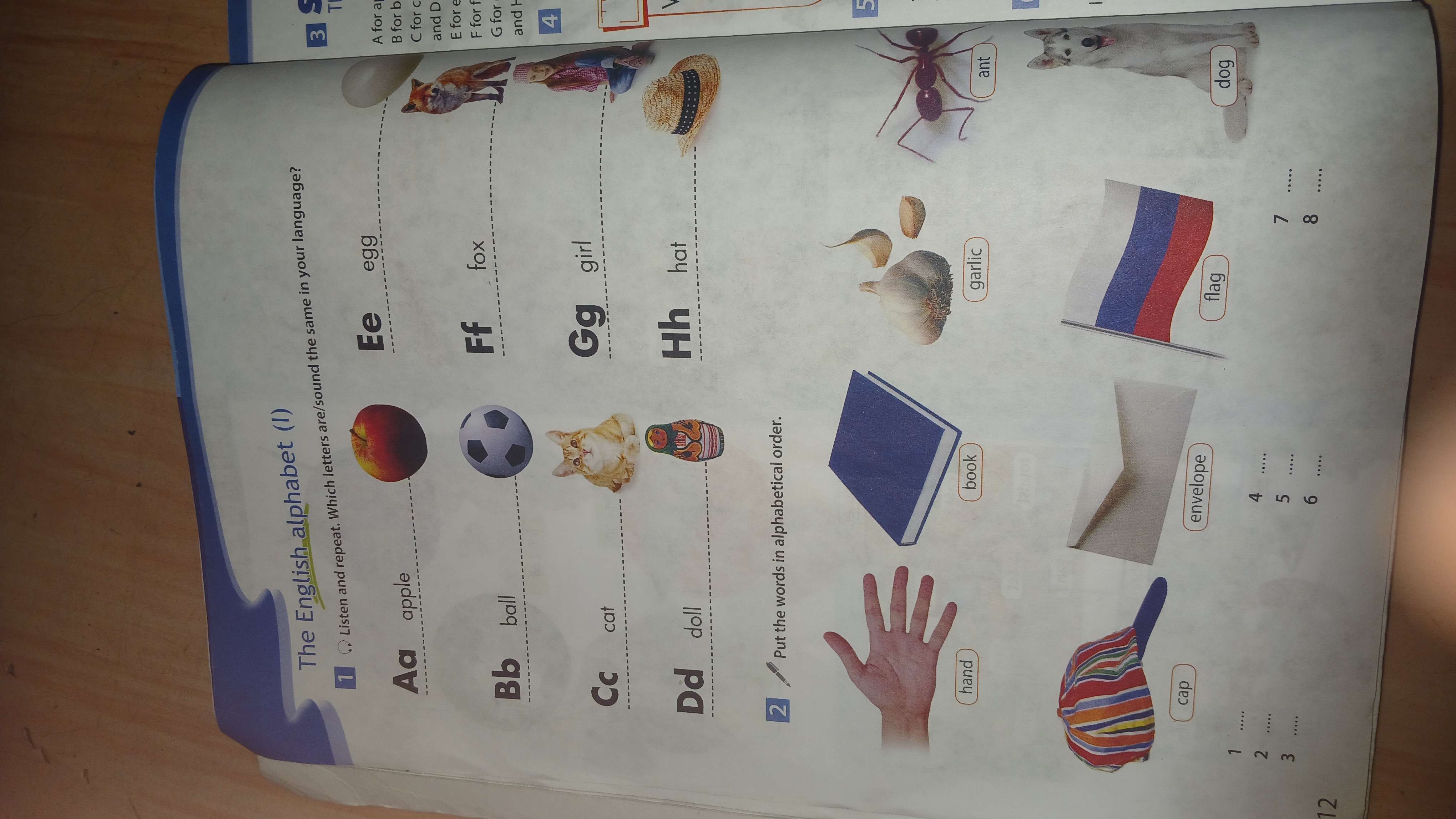 Фото задания: Put the words in alphabetical order: hand, book, garlic, ant, cap, envelope, flag, dog.