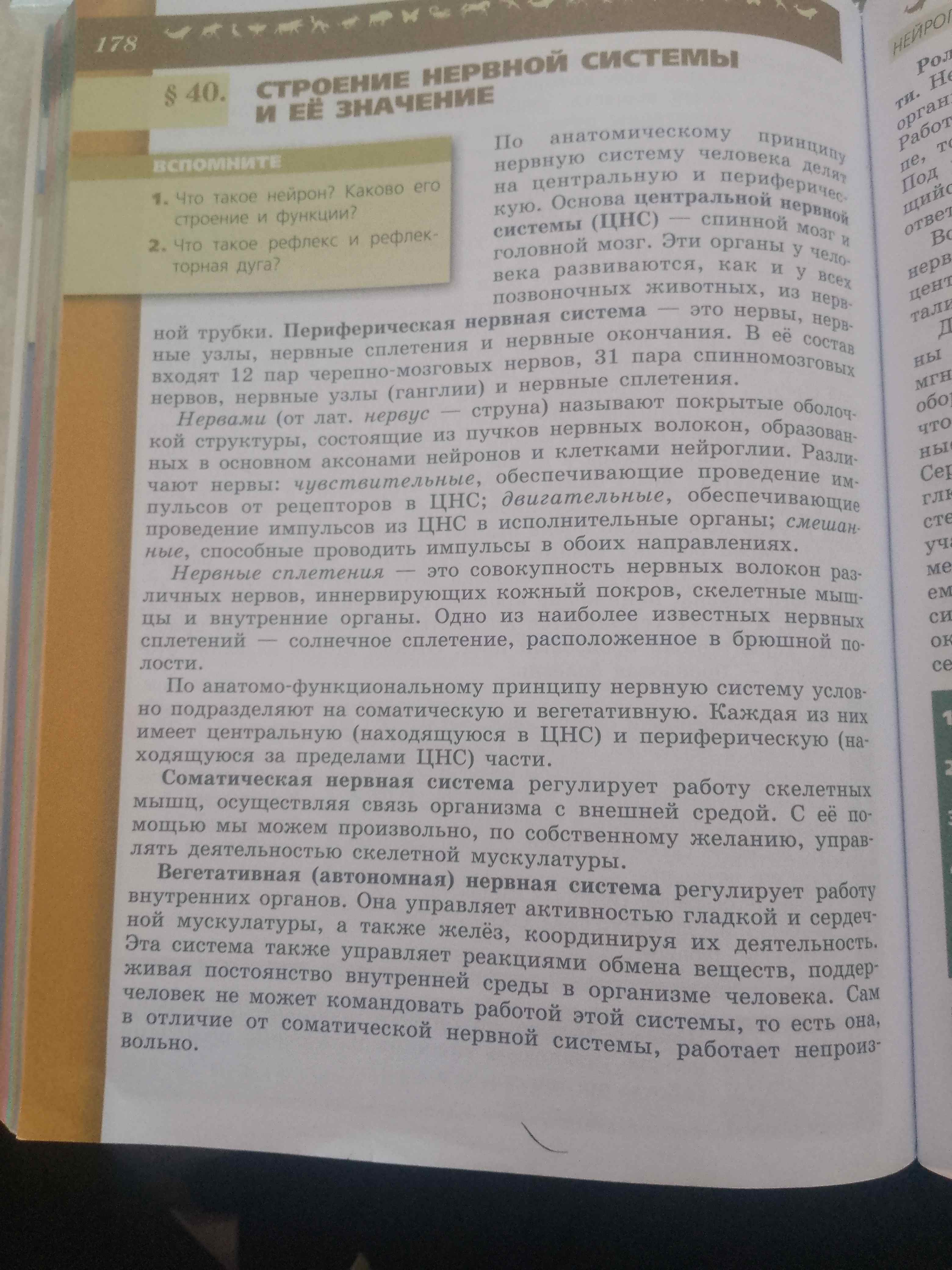 Фото задания: Что такое рефлекс и рефлекторная дуга?