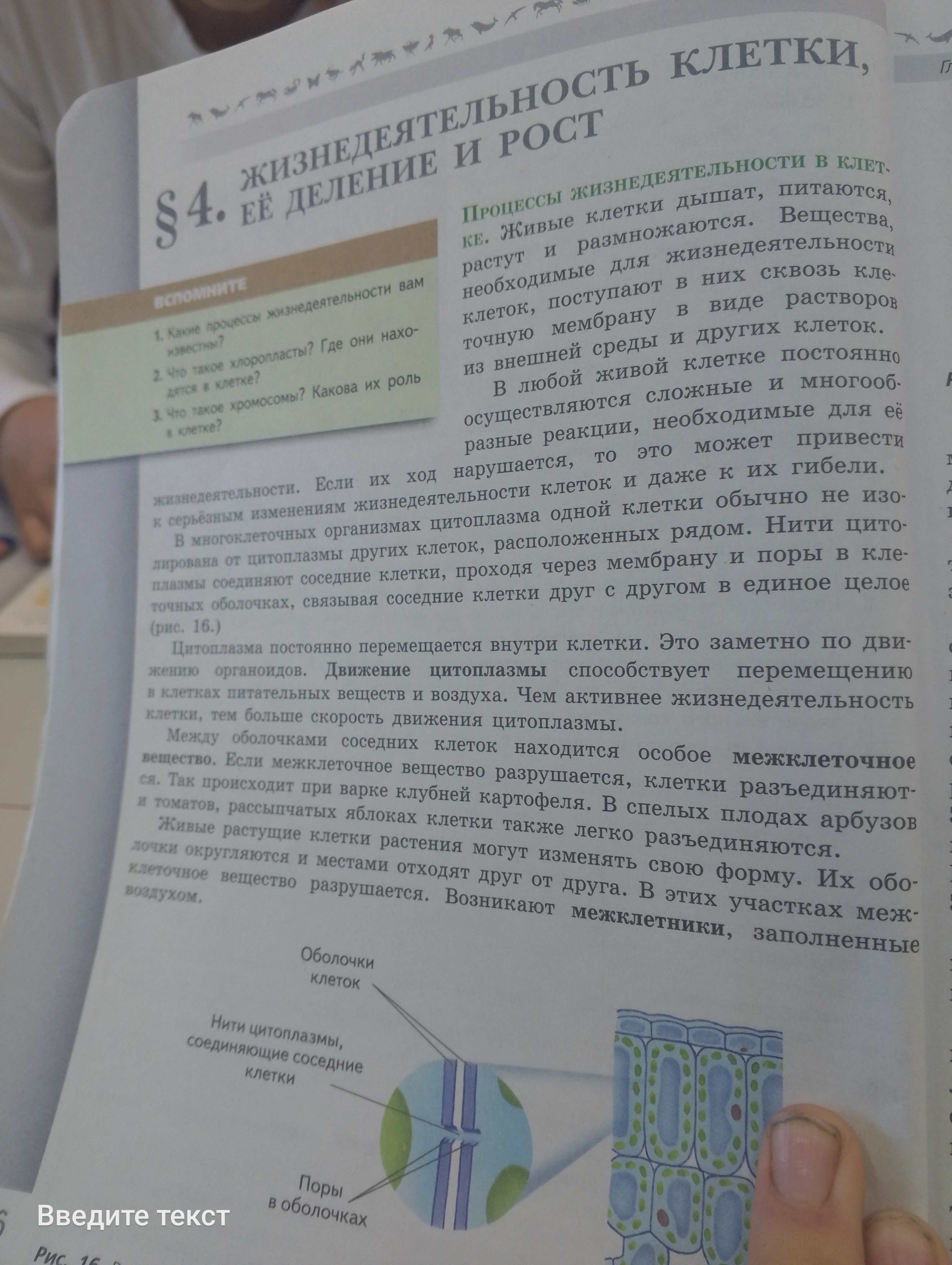 Фото задания: 3. Что такое хромосомы? Какова их роль в клетке?