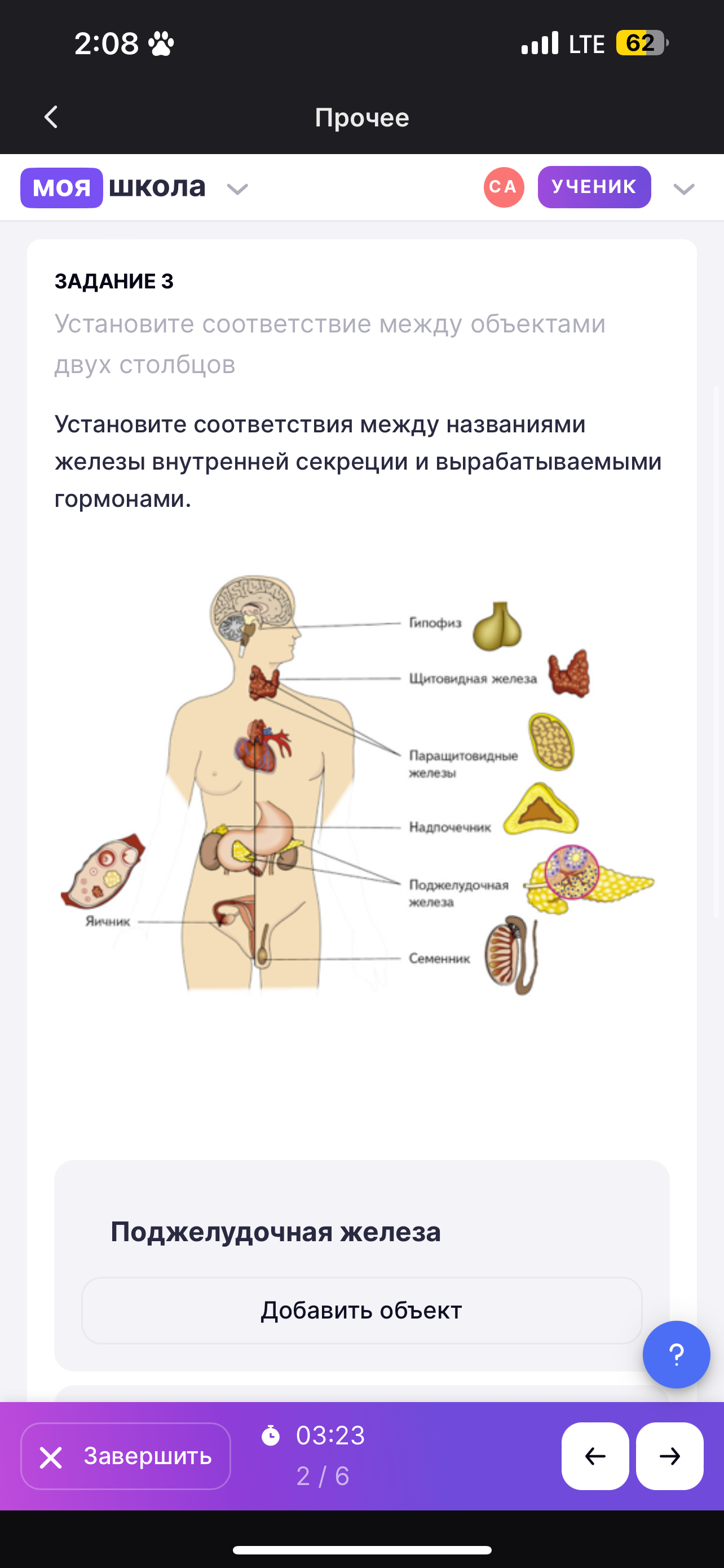 Фото задания: Установите соответствия между названиями железы внутренней секреции и вырабатываемыми гормонами.