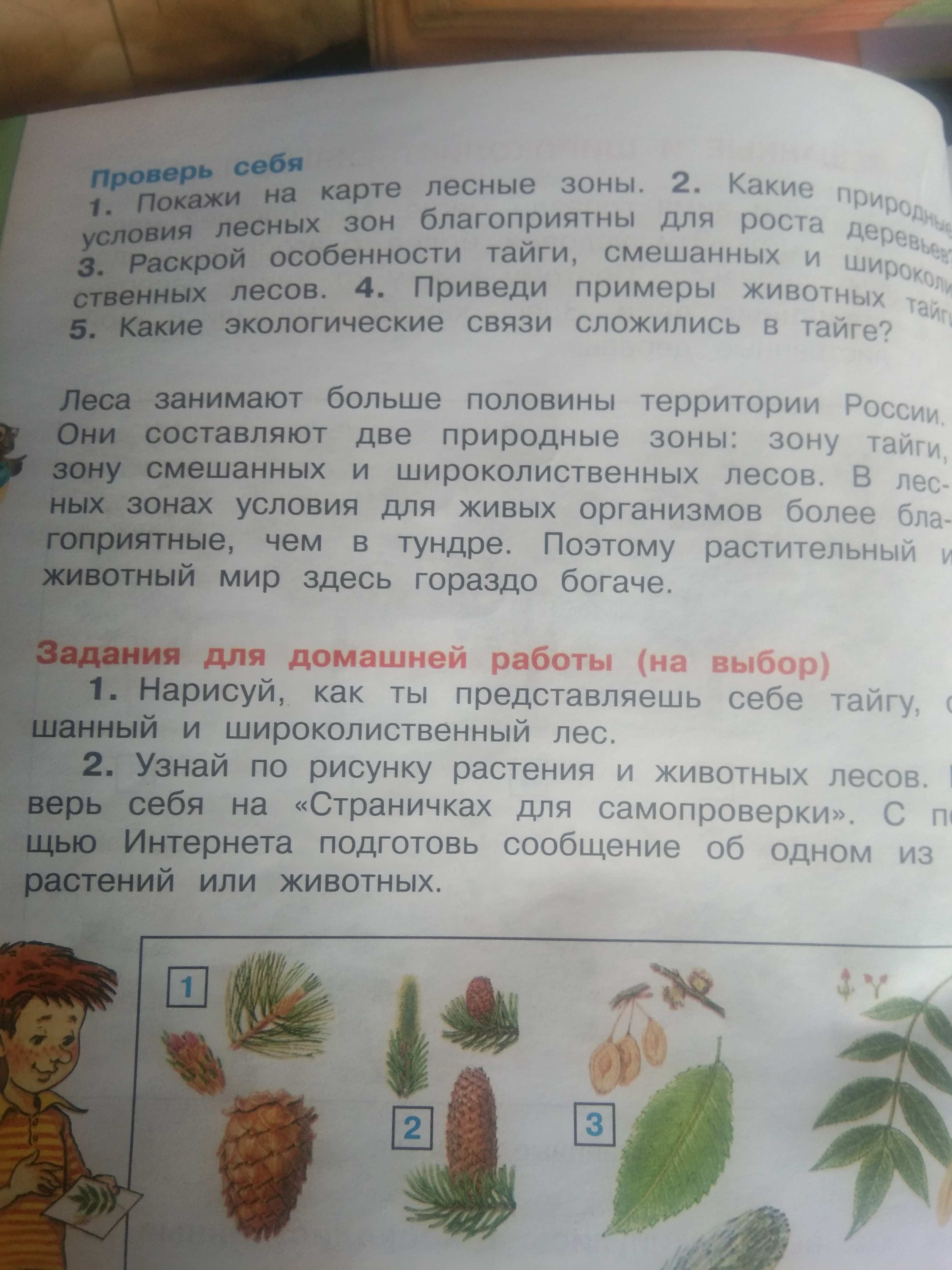 Фото задания: Приведи примеры животных тайги.