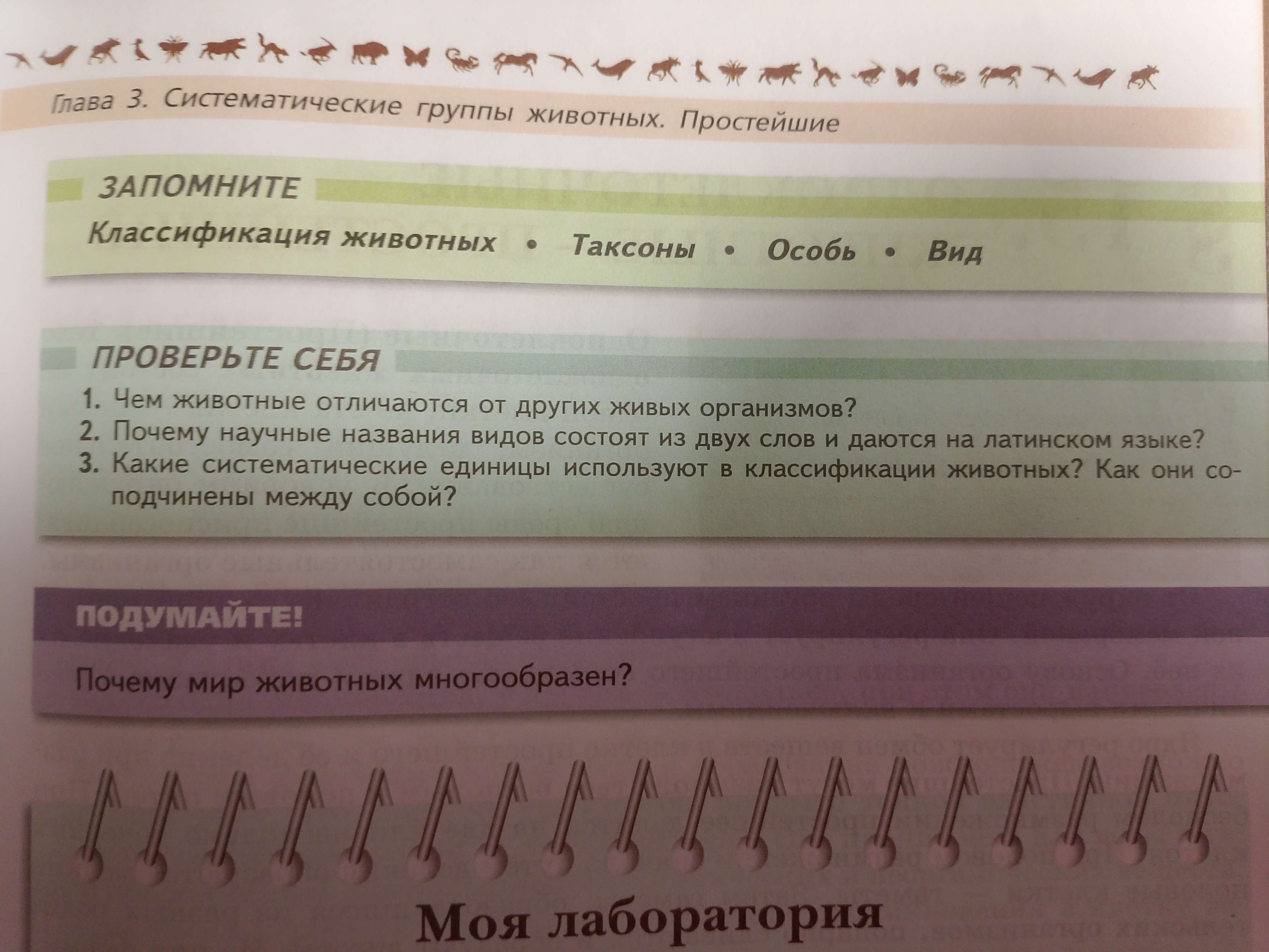 Фото задания: Почему мир животных многообразен?