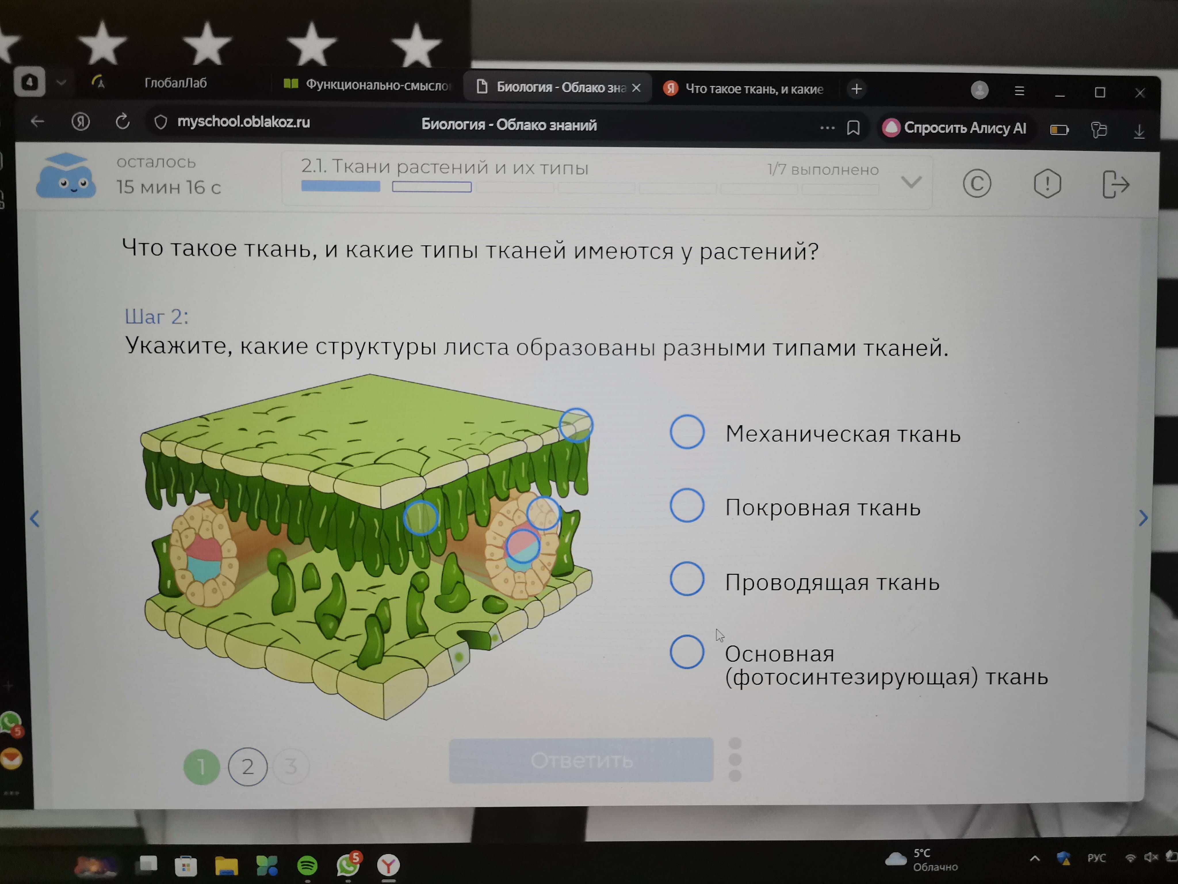 Фото задания: Укажите, какие структуры листа образованы разными типами тканей.
