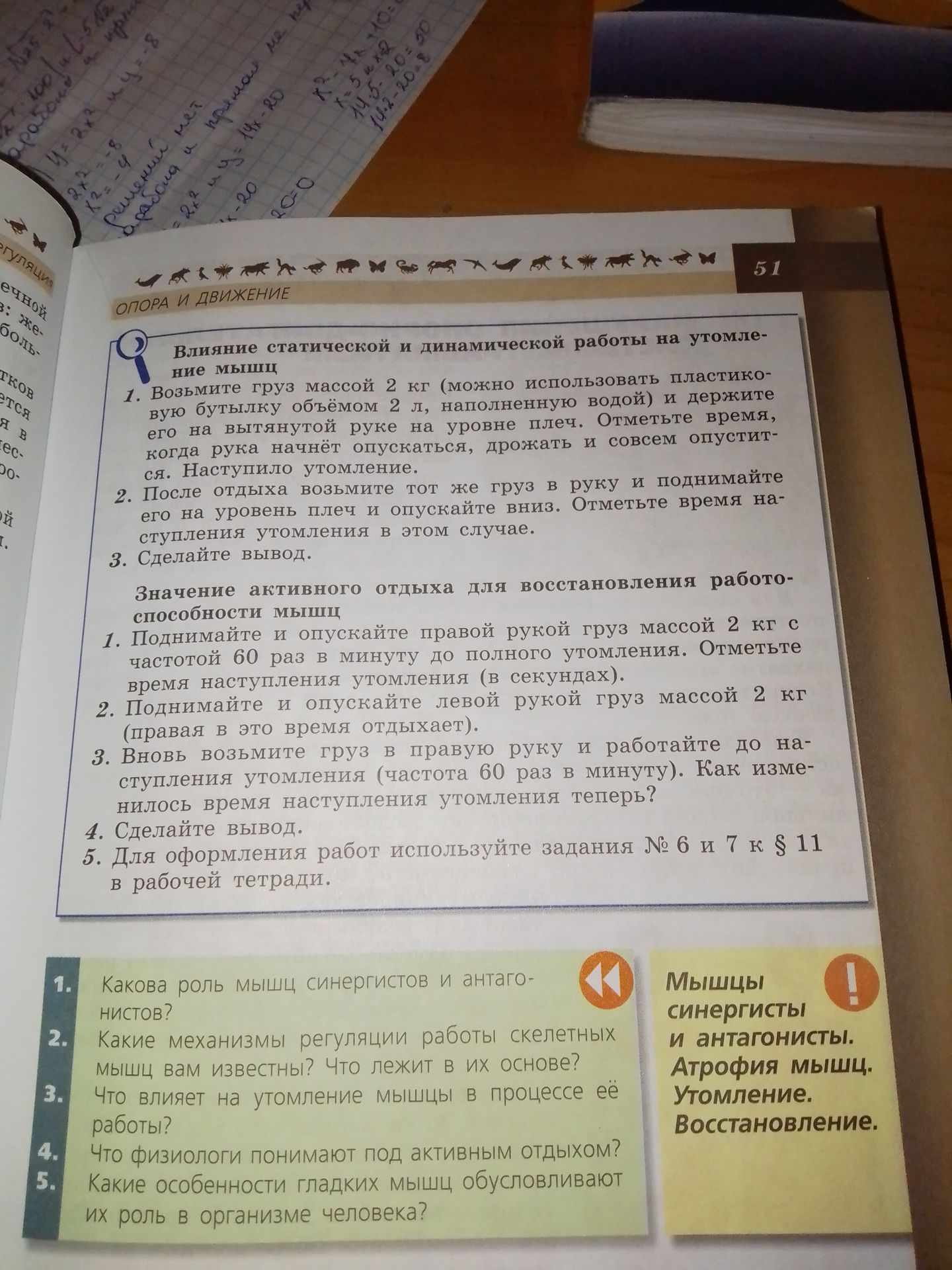 Фото задания: 1. Какова роль мышц синергистов и антагонистов?