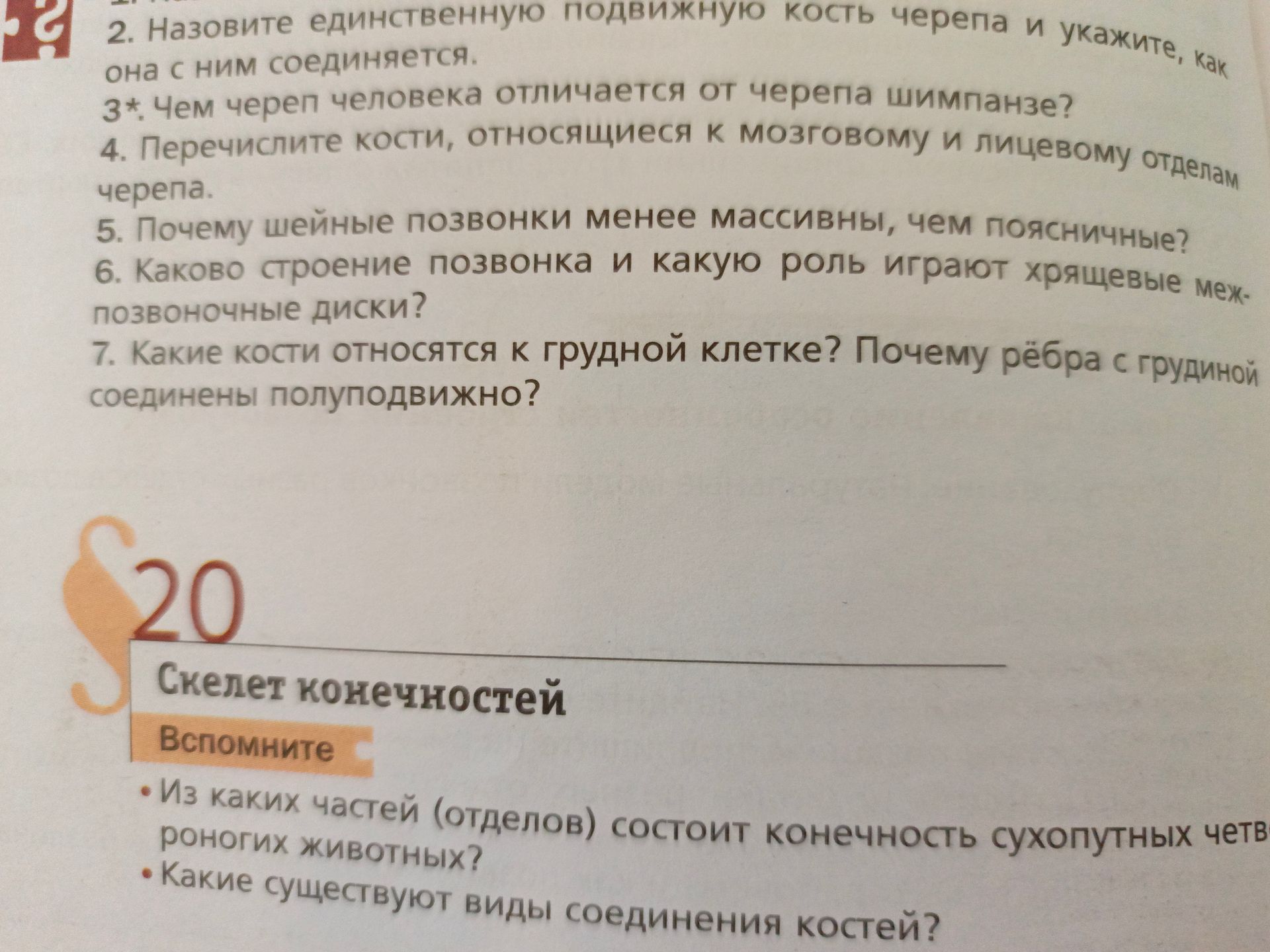 Фото задания: 2. Назовите единственную подвижную кость черепа и укажите, как она с ним соединяется.