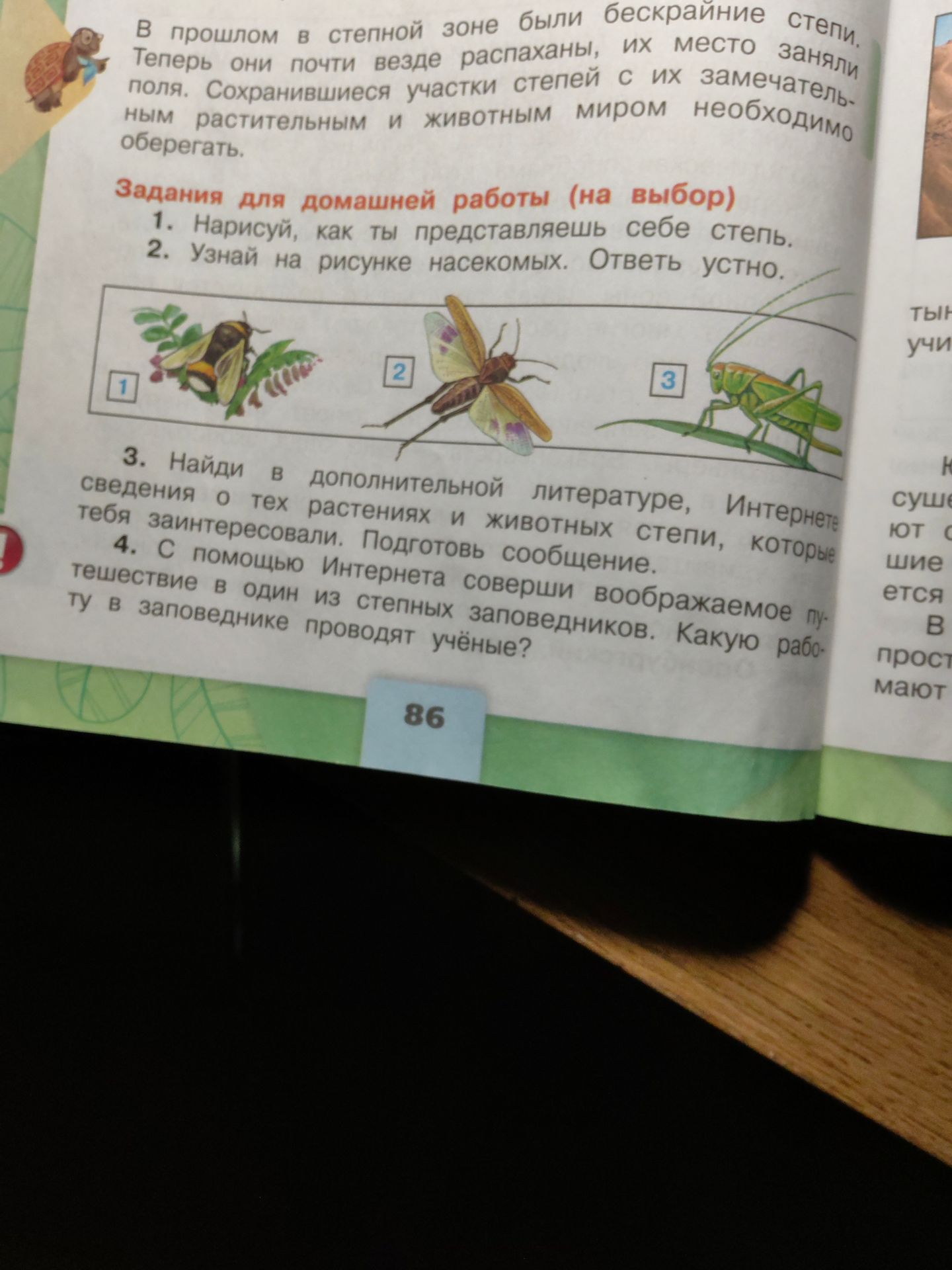 Фото задания: 2. Узнай на рисунке насекомых. Ответь устно.