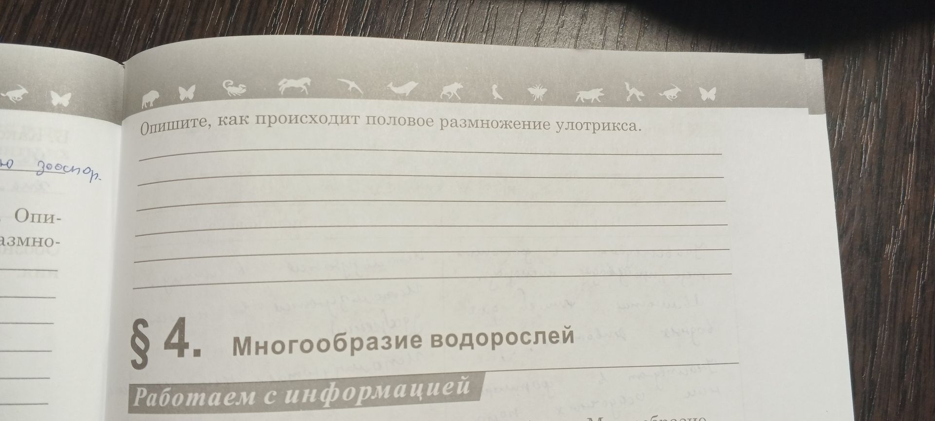 Фото задания: Опишите, как происходит половое размножение улотрикса.