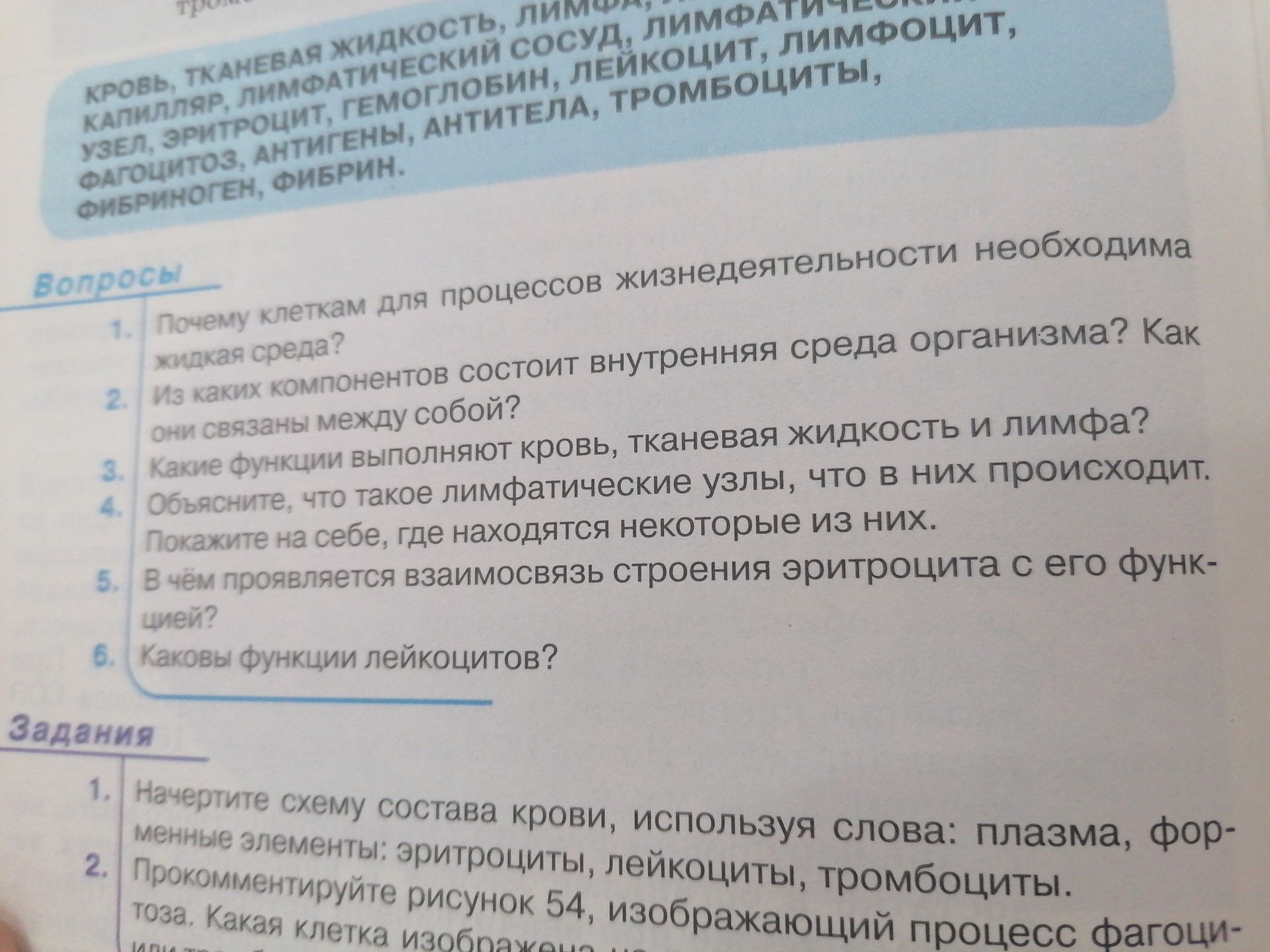 Фото задания: 1. Почему клеткам для процессов жизнедеятельности необходима жидкая среда?