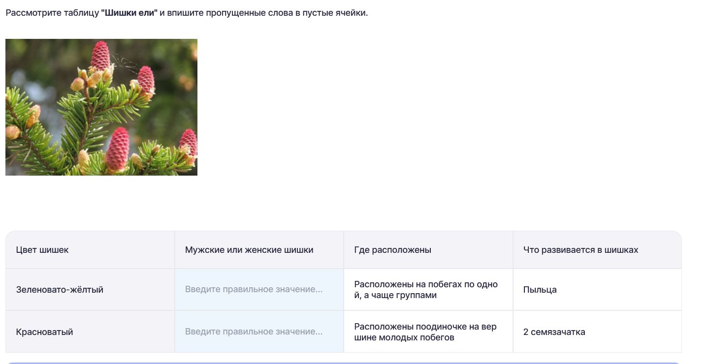 Фото задания: Рассмотрите таблицу "Шишки ели" и впишите пропущенные слова в пустые ячейки.