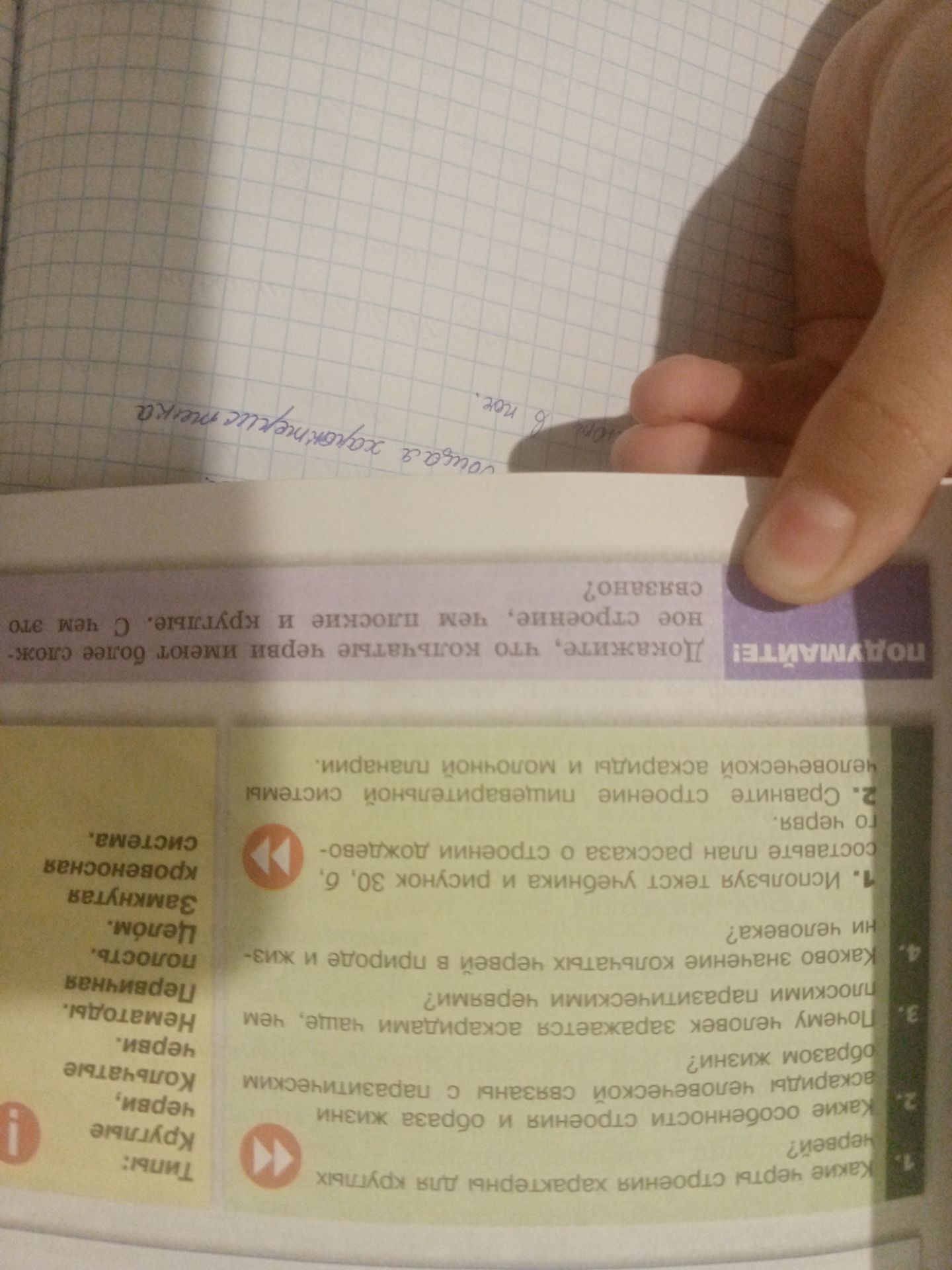 Фото задания: 1. Какие черты строения характерны для круглых червей?