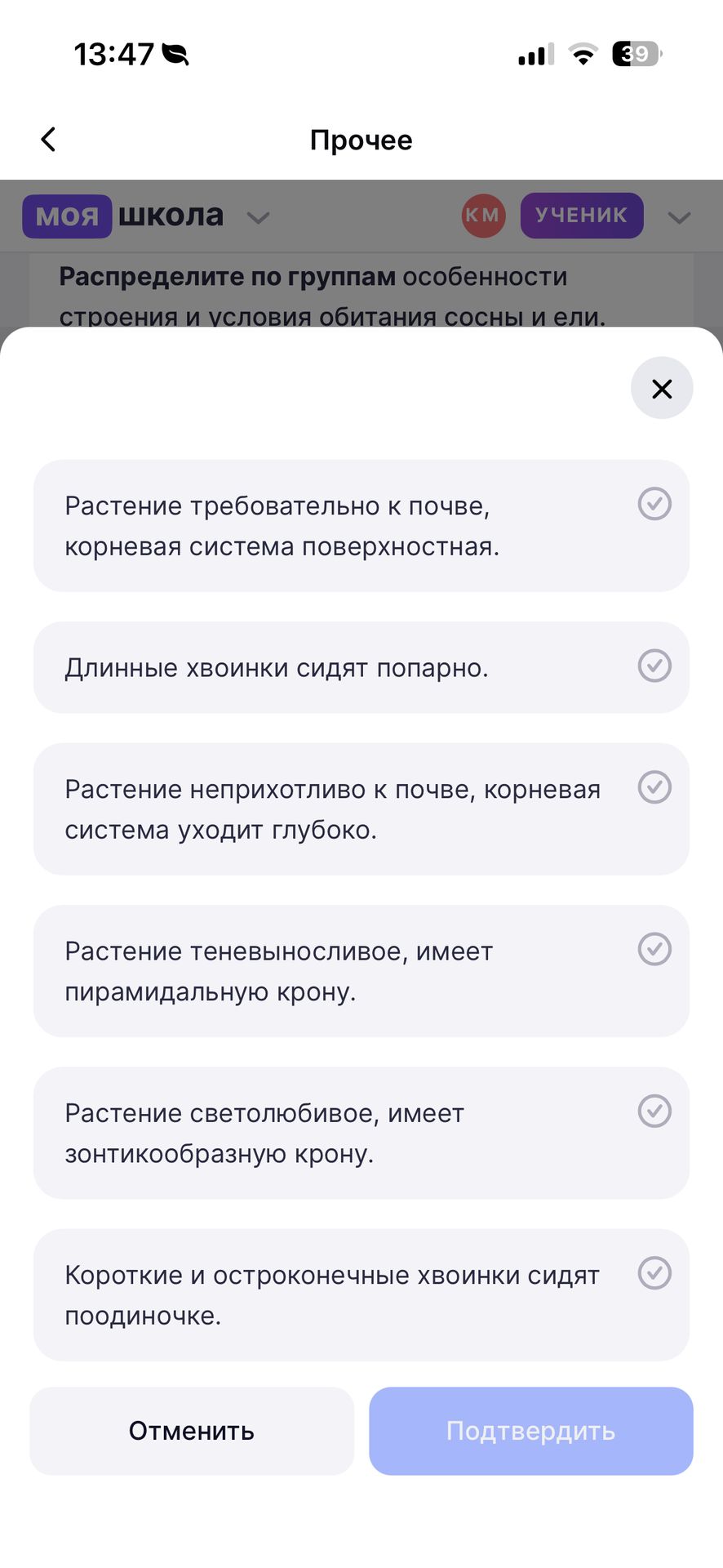 Фото задания: Распределите по группам особенности строения и условия обитания сосны и ели.