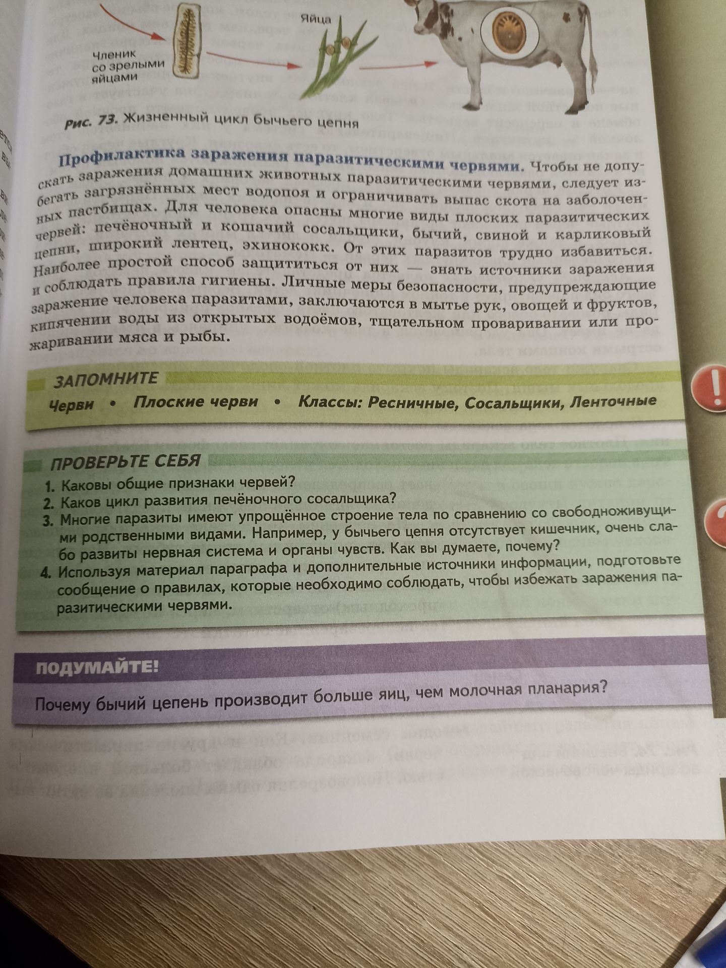 Фото задания: 2. Каков цикл развития печёночного сосальщика?