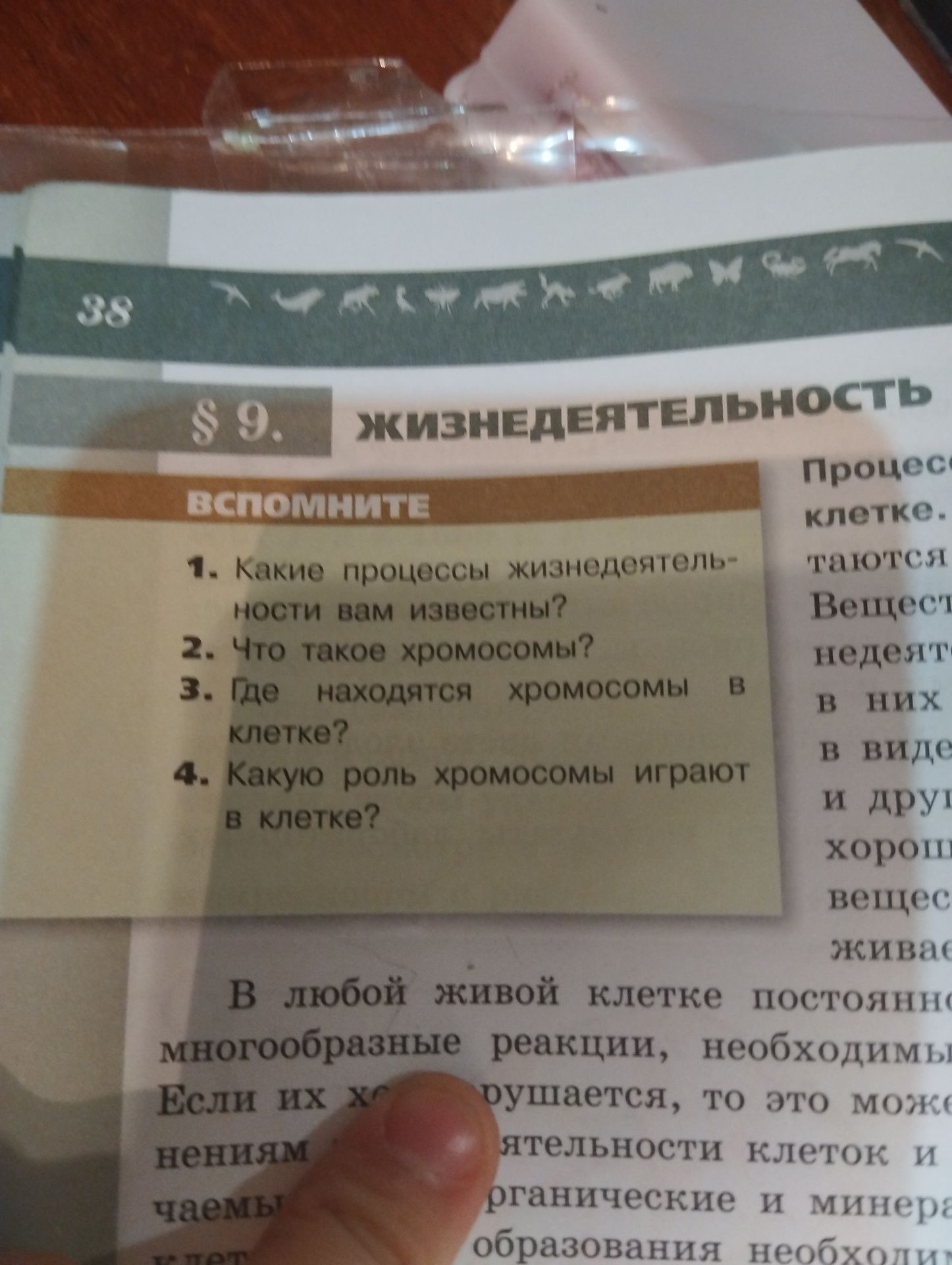 Фото задания: 1. Какие процессы жизнедеятельности вам известны?