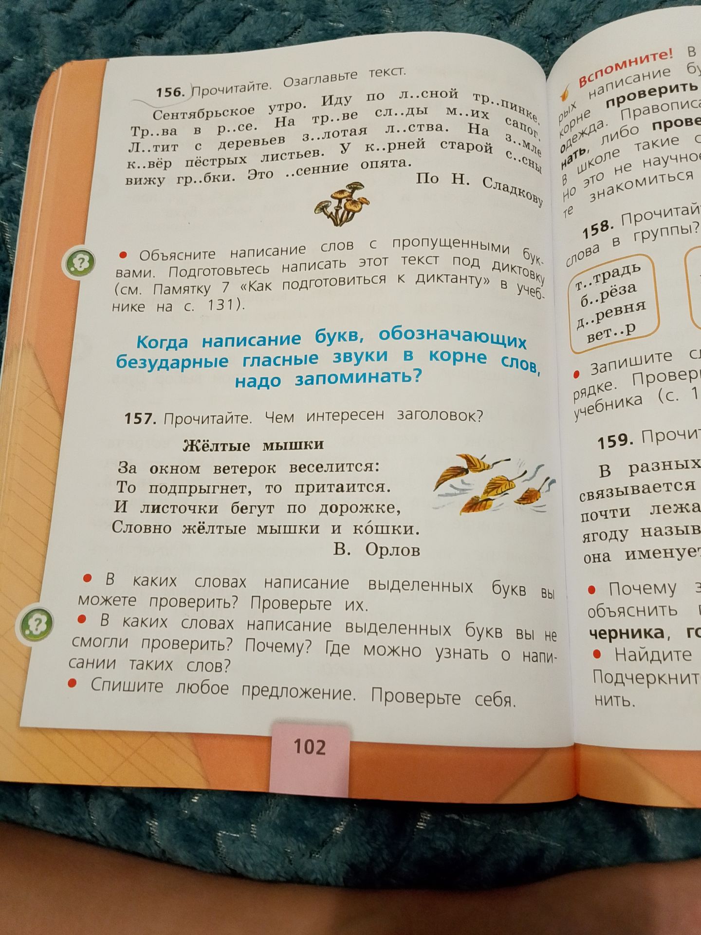 Фото задания: Спишите любое предложение. Проверьте себя.