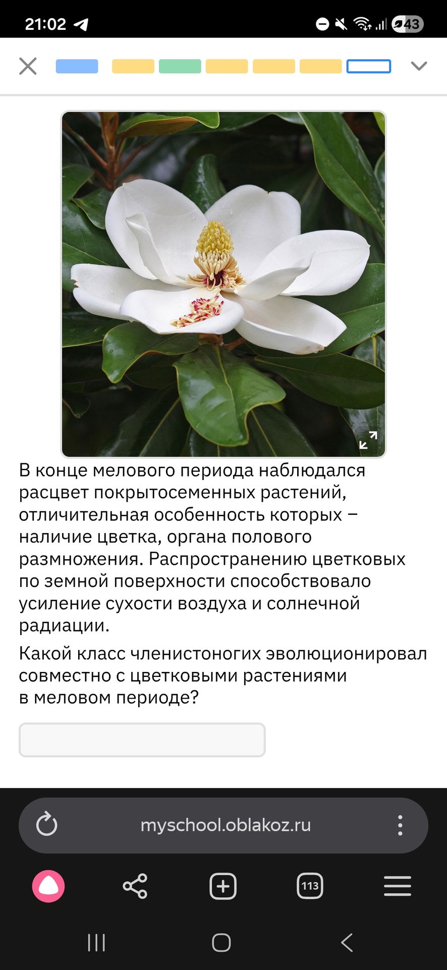 Фото задания: В конце мелового периода наблюдался расцвет покрытосеменных растений, отличительная особенность которых – наличие цветка,…