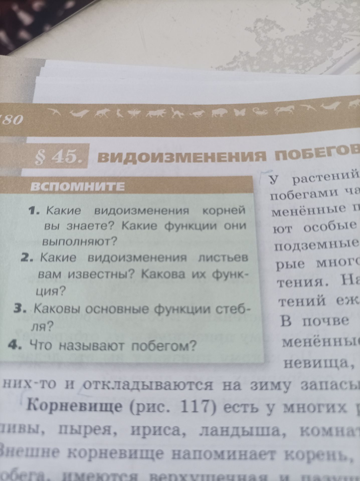 Фото задания: 3. Каковы основные функции стеб- ля?