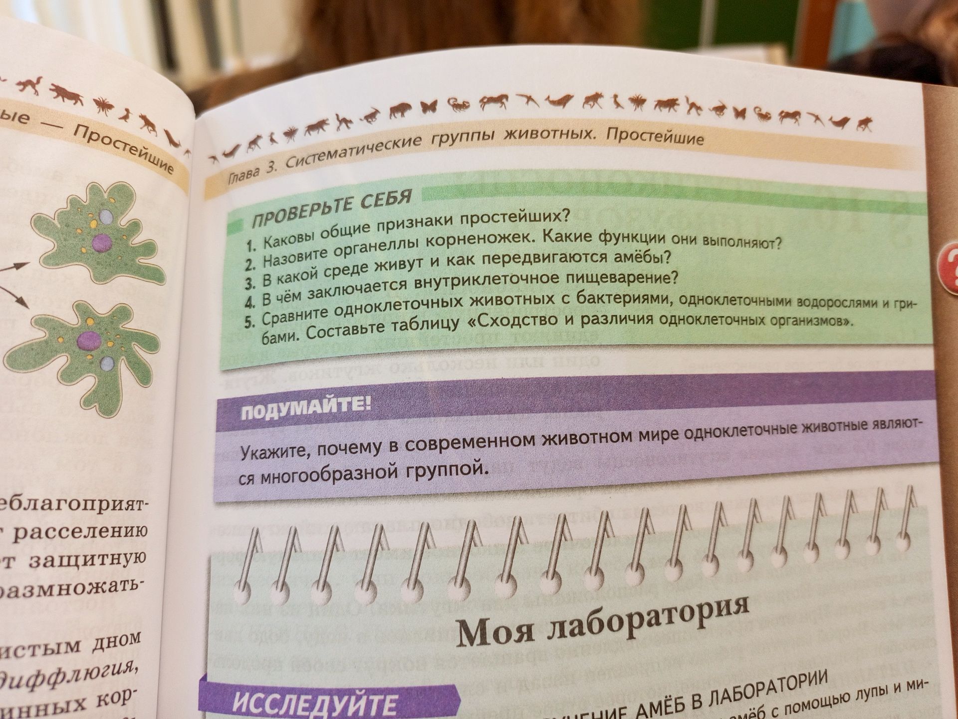 Фото задания: 1. Каковы общие признаки простейших?