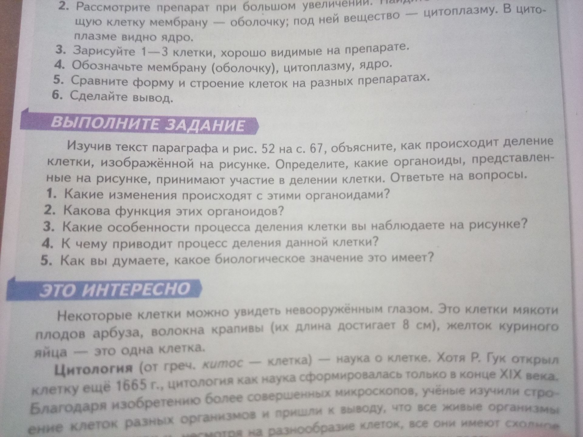 Фото задания: 2. Какова функция этих органоидов?