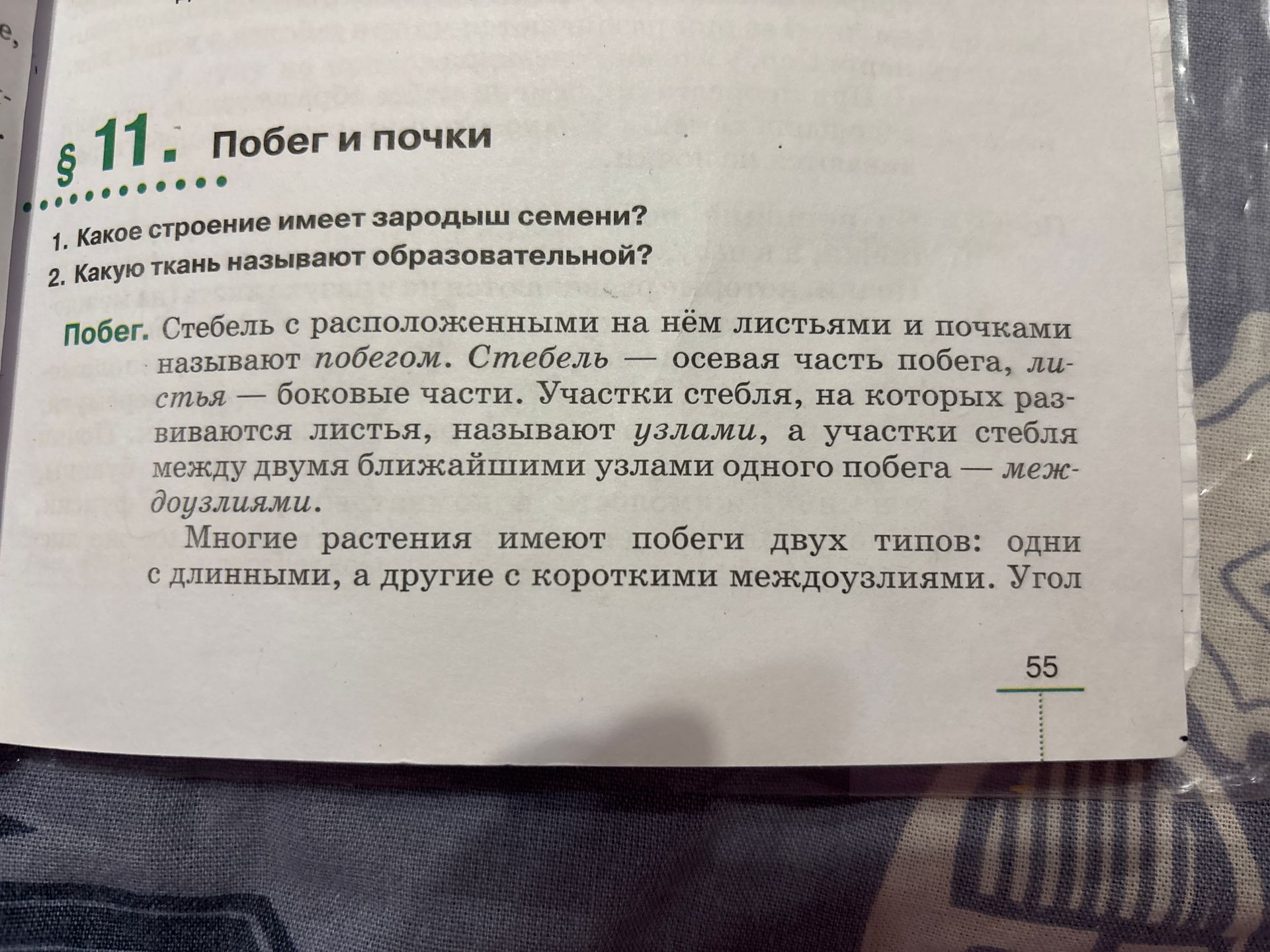 Фото задания: 2. Какую ткань называют образовательной?