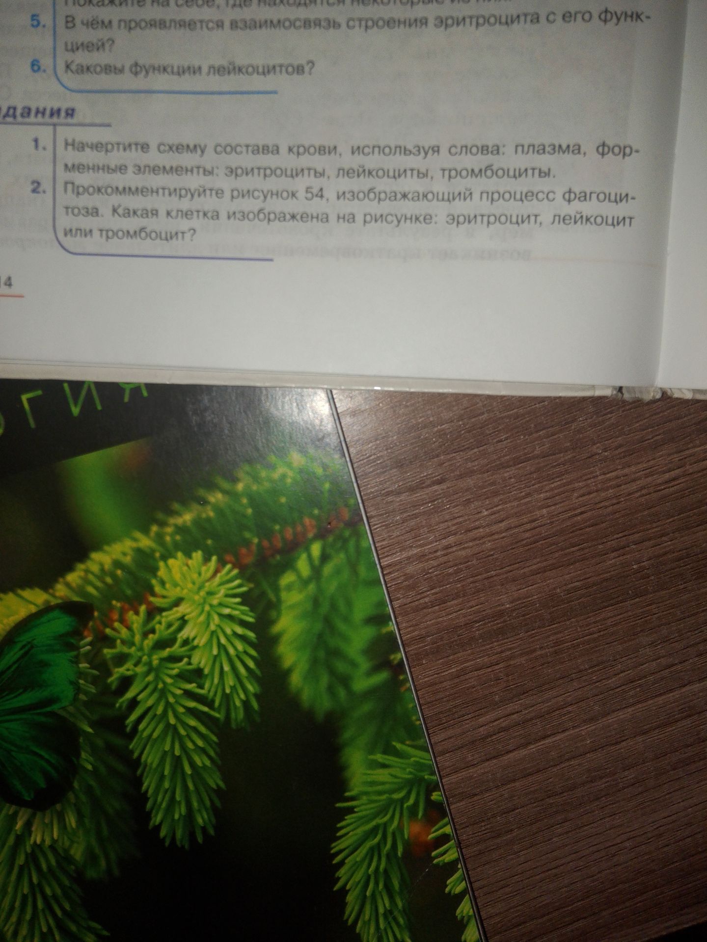 Фото задания: 6. Каковы функции лейкоцитов?